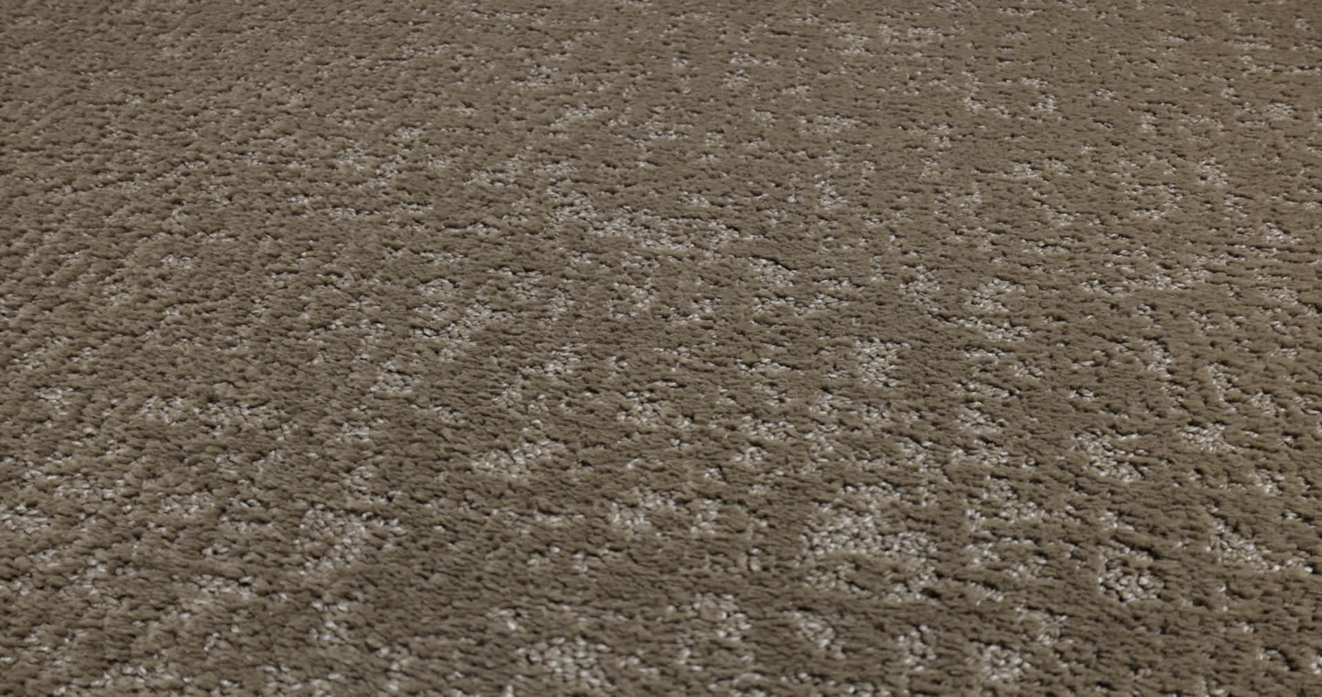 HOME WITHIN CAMEO 360PROD