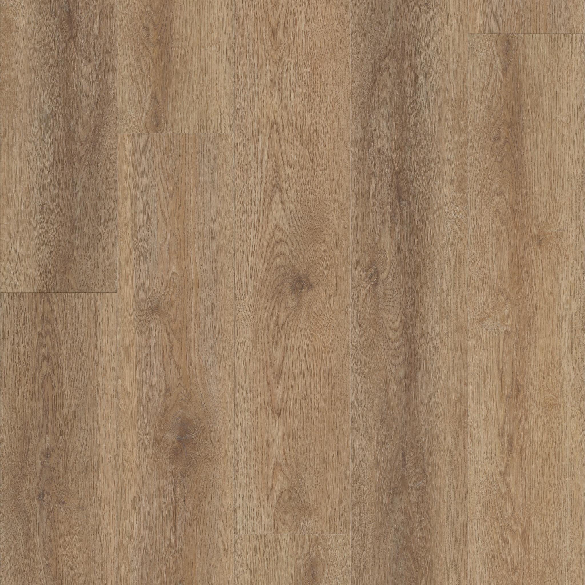 Antica HD Plus by Shaw Floors