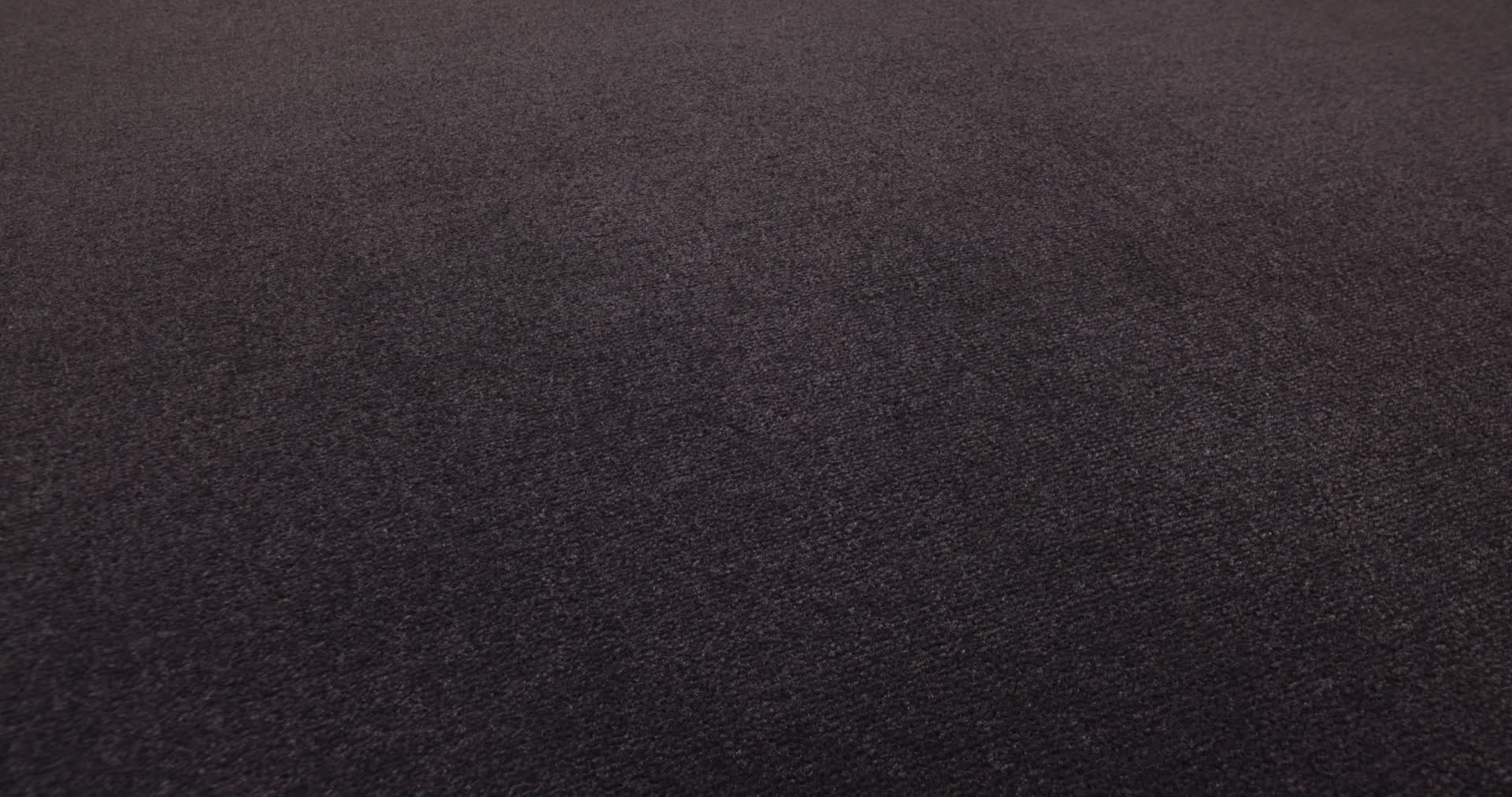 Scepter II Eggplant Rotation360