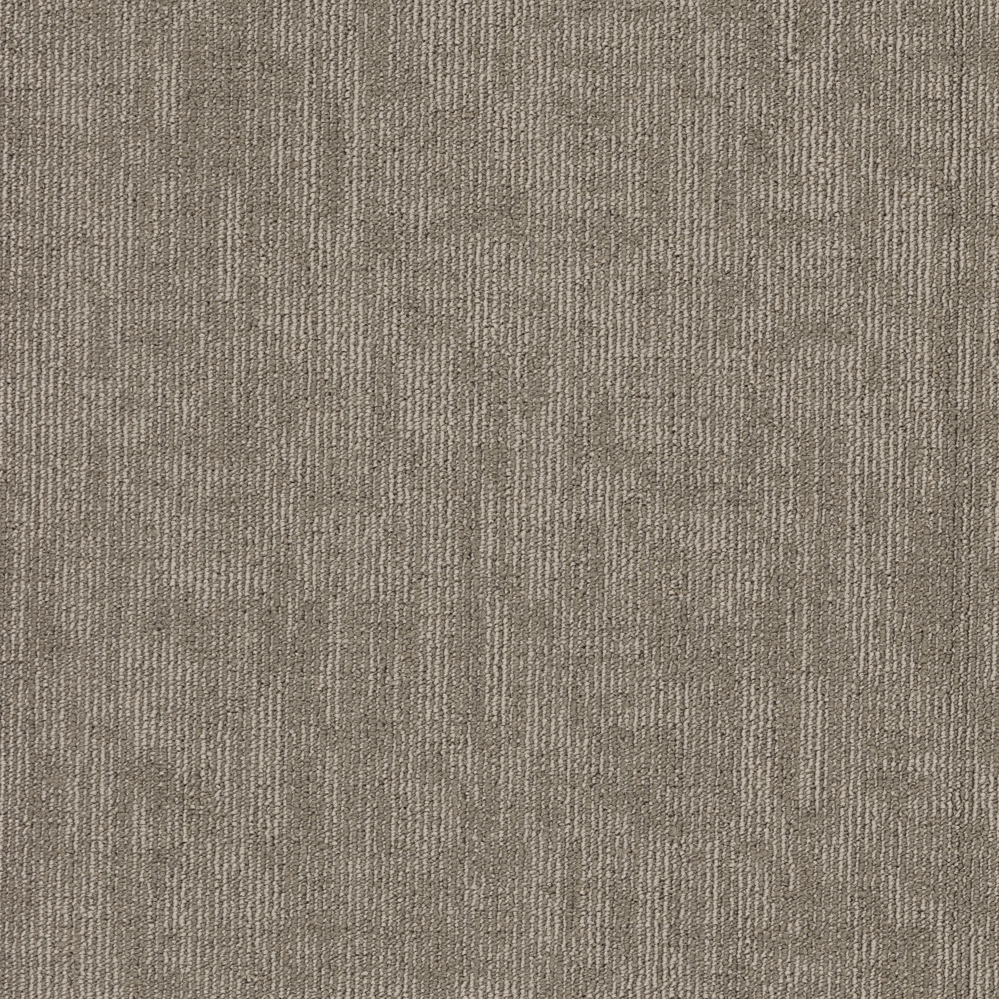 CARBON-COPY-II-BL-55026-MANUSCRIPT-06110-main-image