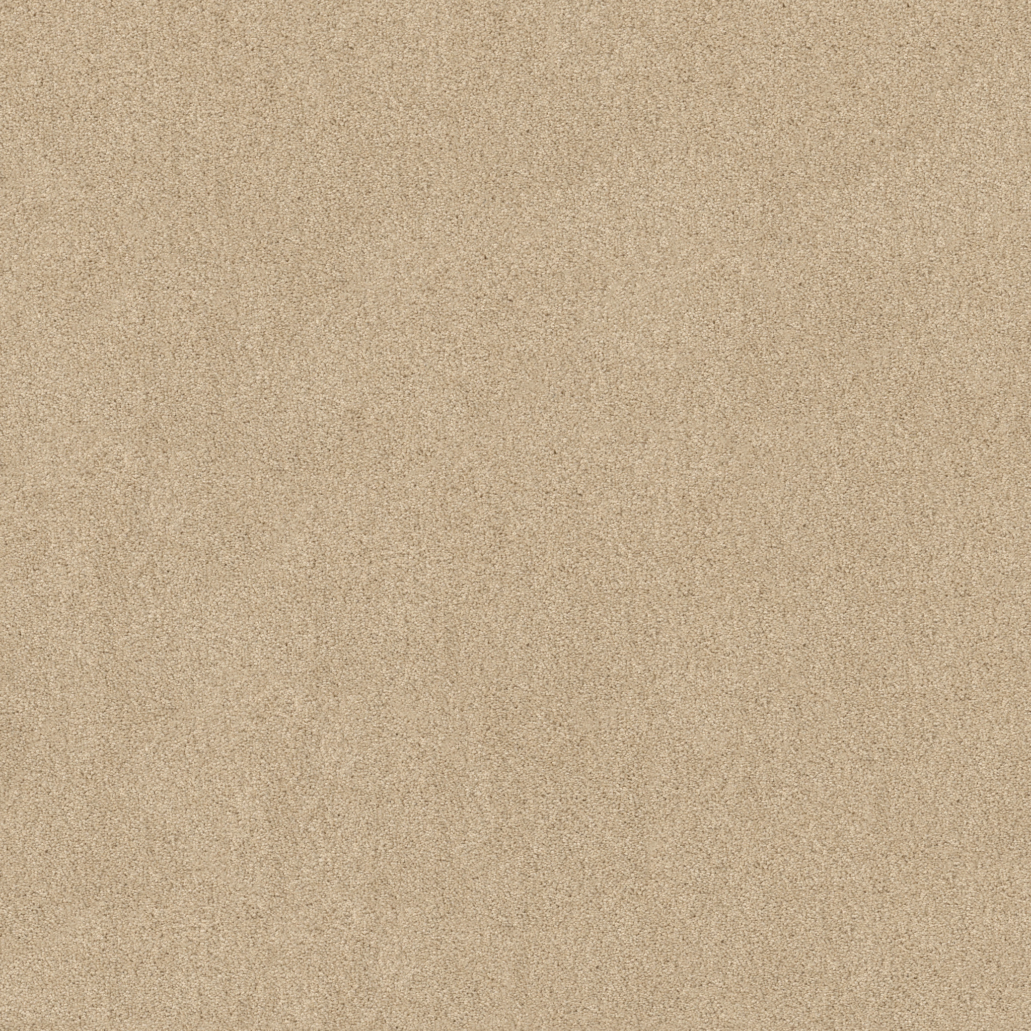 HARLEY STREET I DREAM DUST MAIN