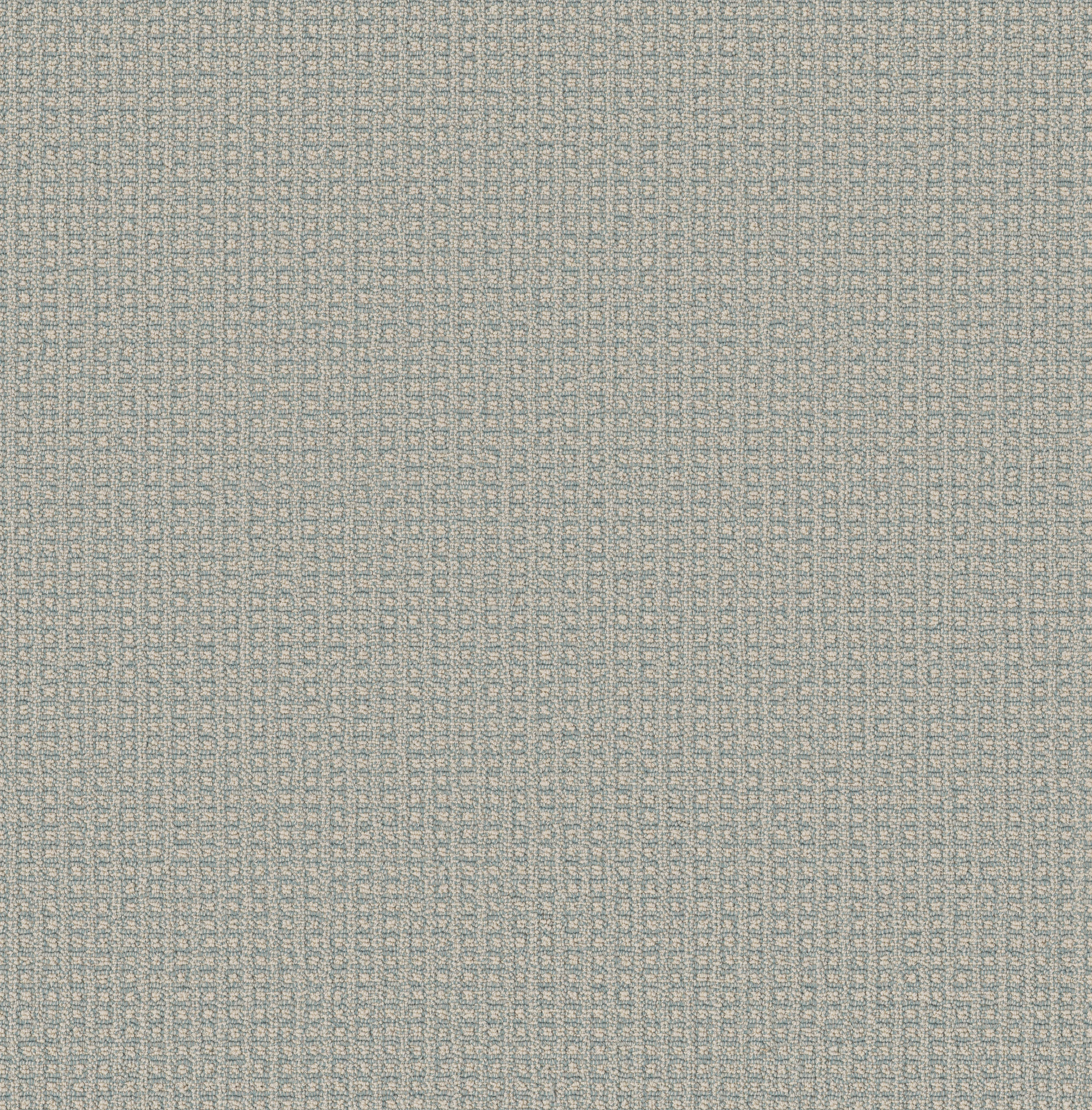 FETCH SURF SPRAY MAIN