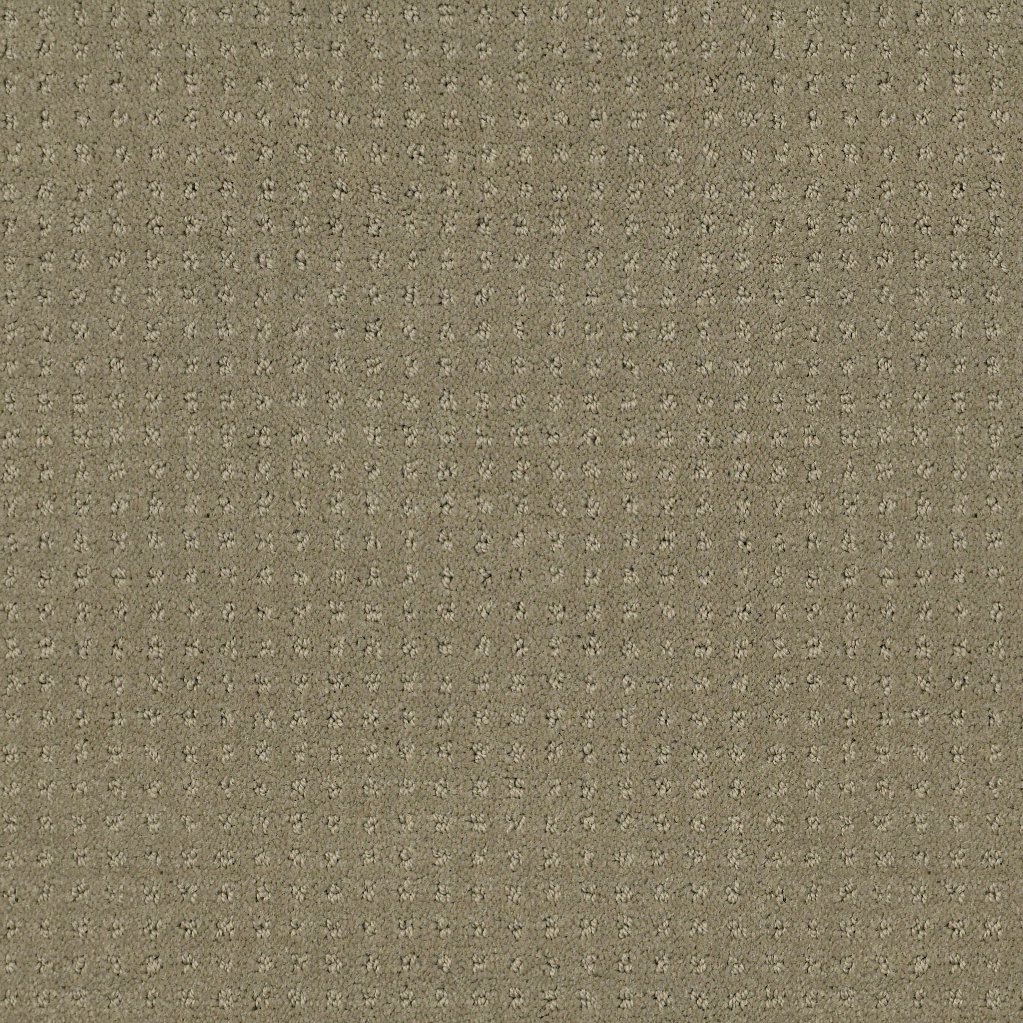 INSPIRED BY PATTERN ROCKY COAST MAIN