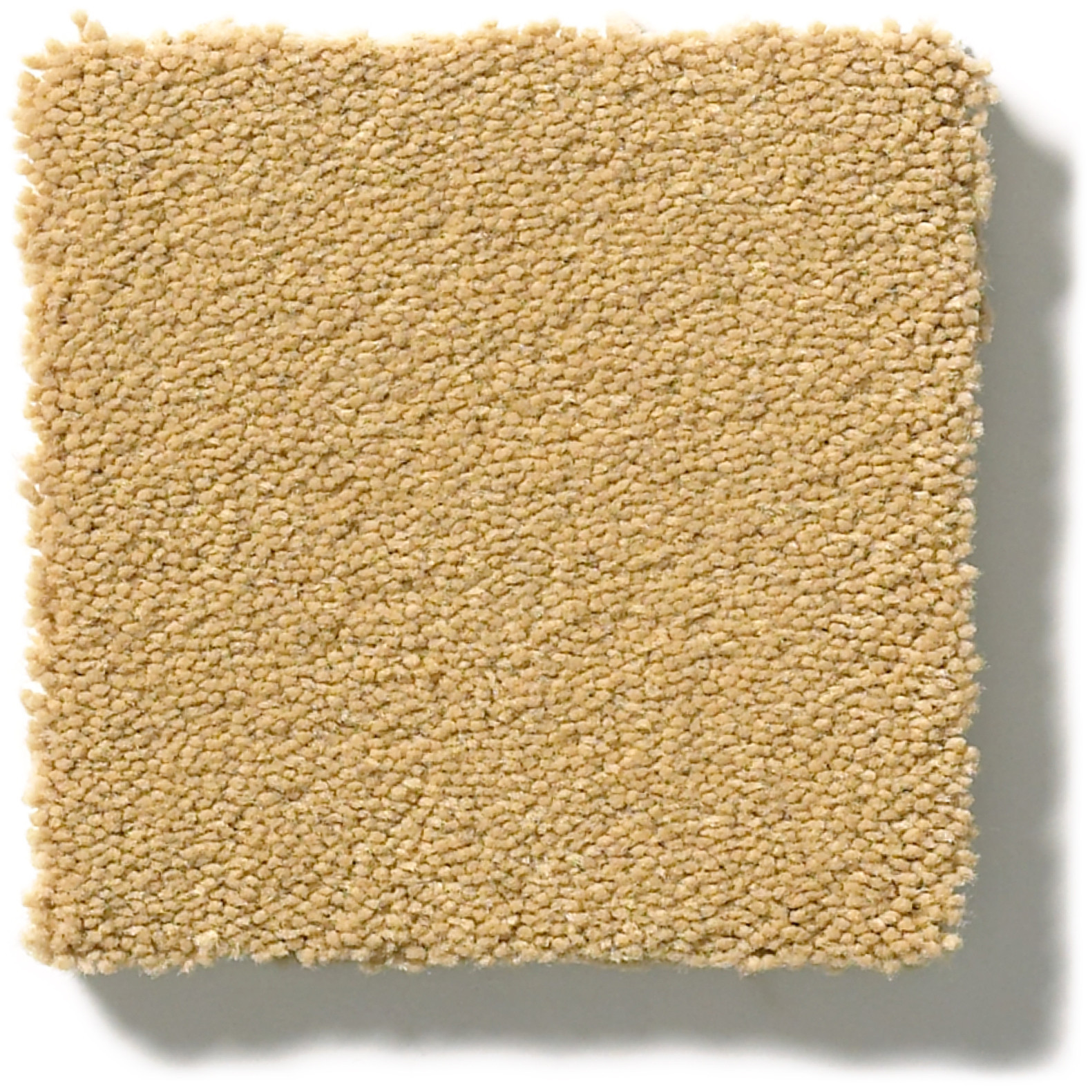 PERFECT CHOICE TAWNY BISQUE SWATCH