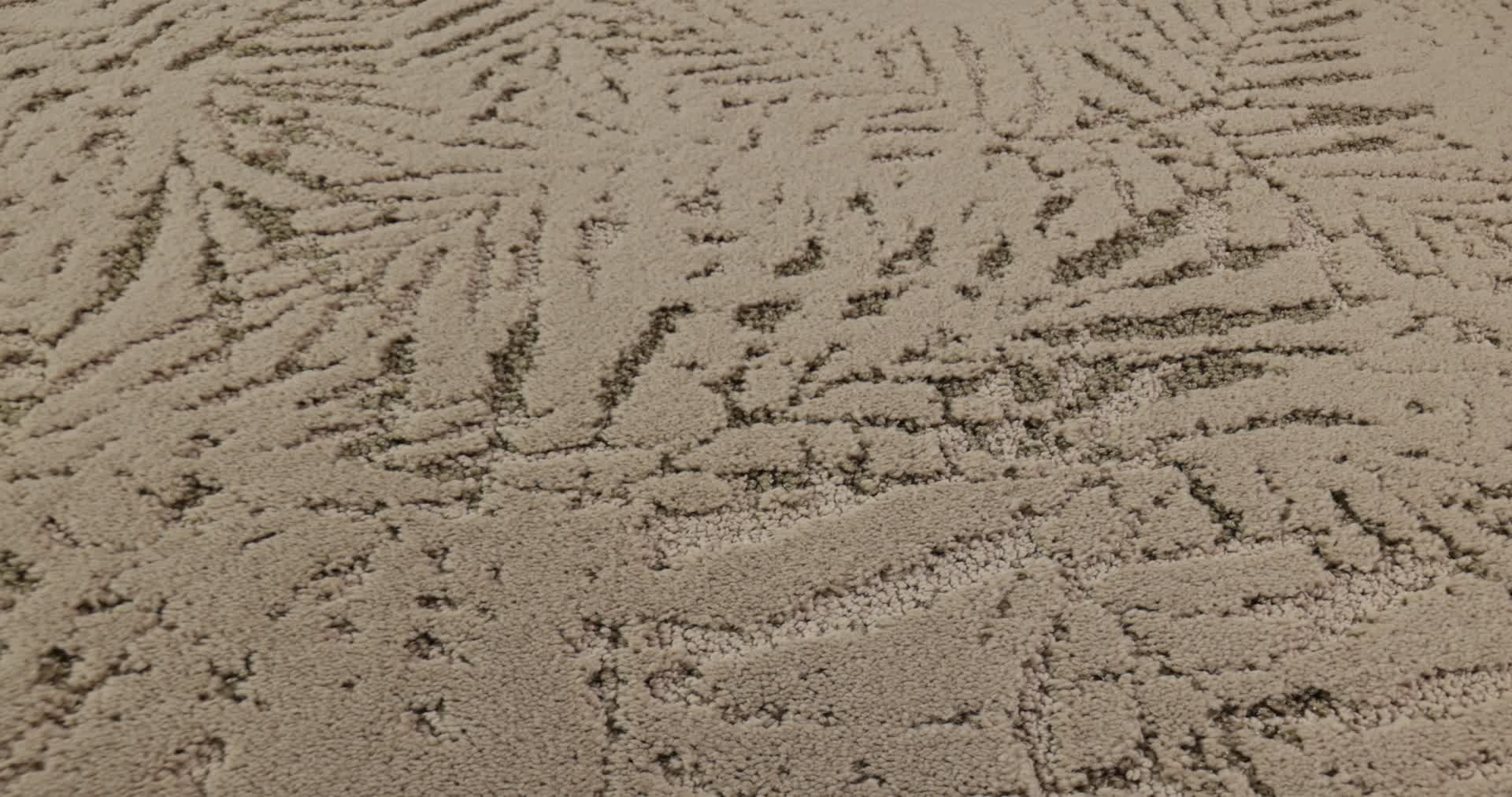 AUTOGRAPH CHAMPAGNE TOAST 360PROD