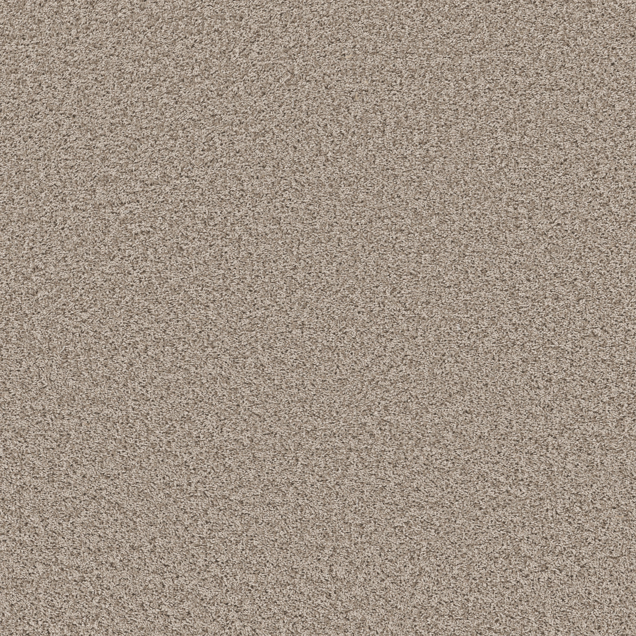 COLOR FLAIR OYSTER MAIN