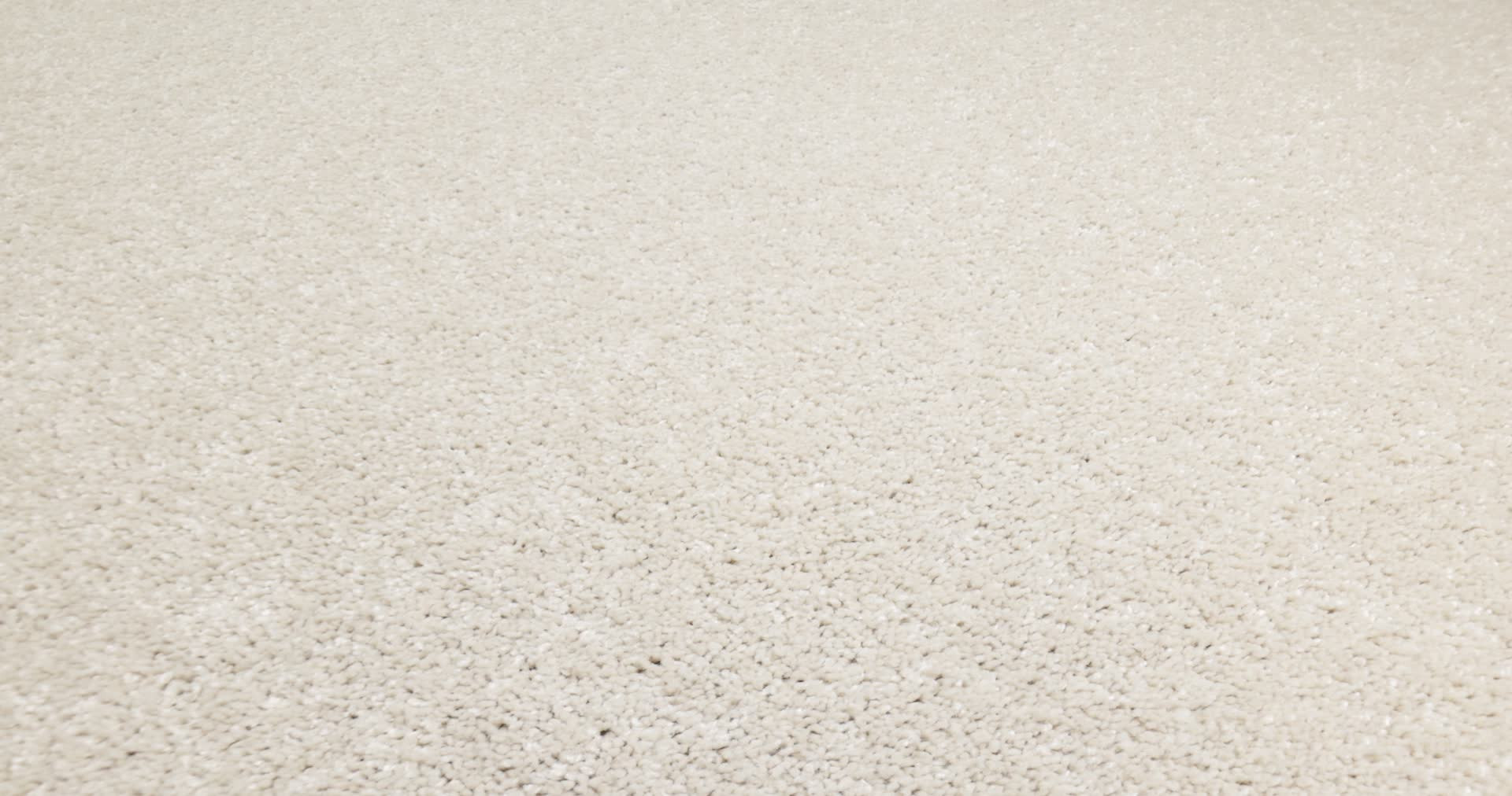 SMOOTH TALK I HALO 360PROD