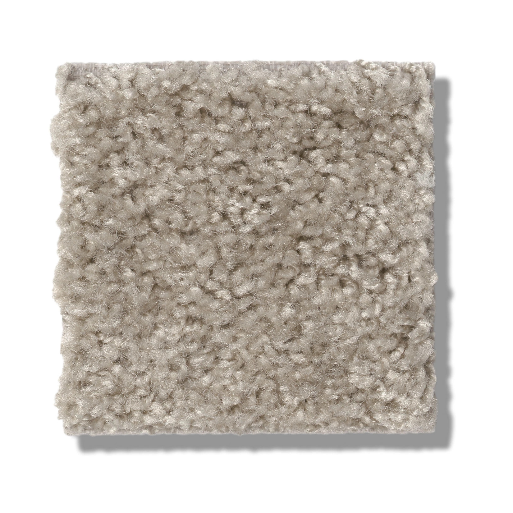 VALIANT BALBOA MIST SWATCH