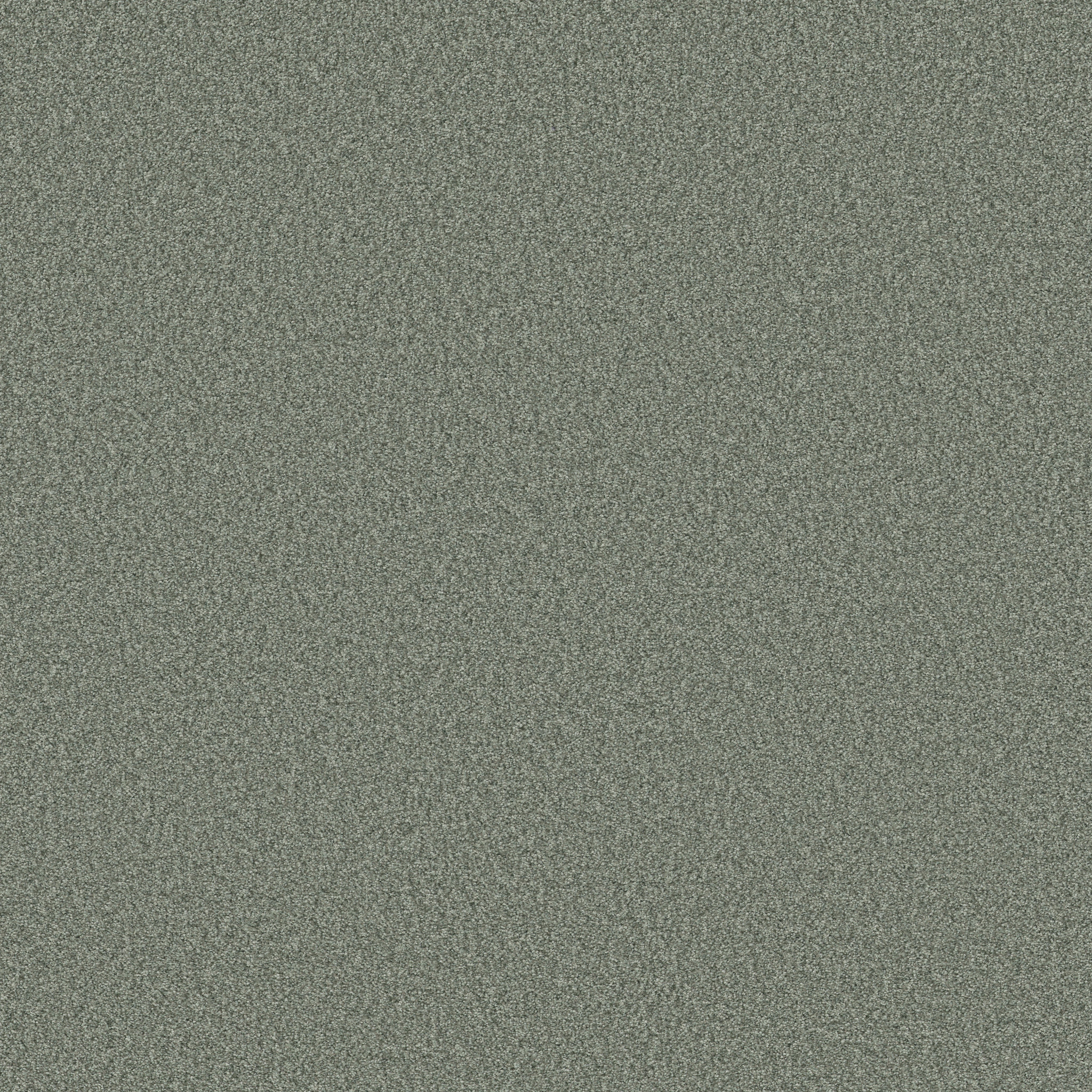 TONAL COMFORT I MEADOW MAIN