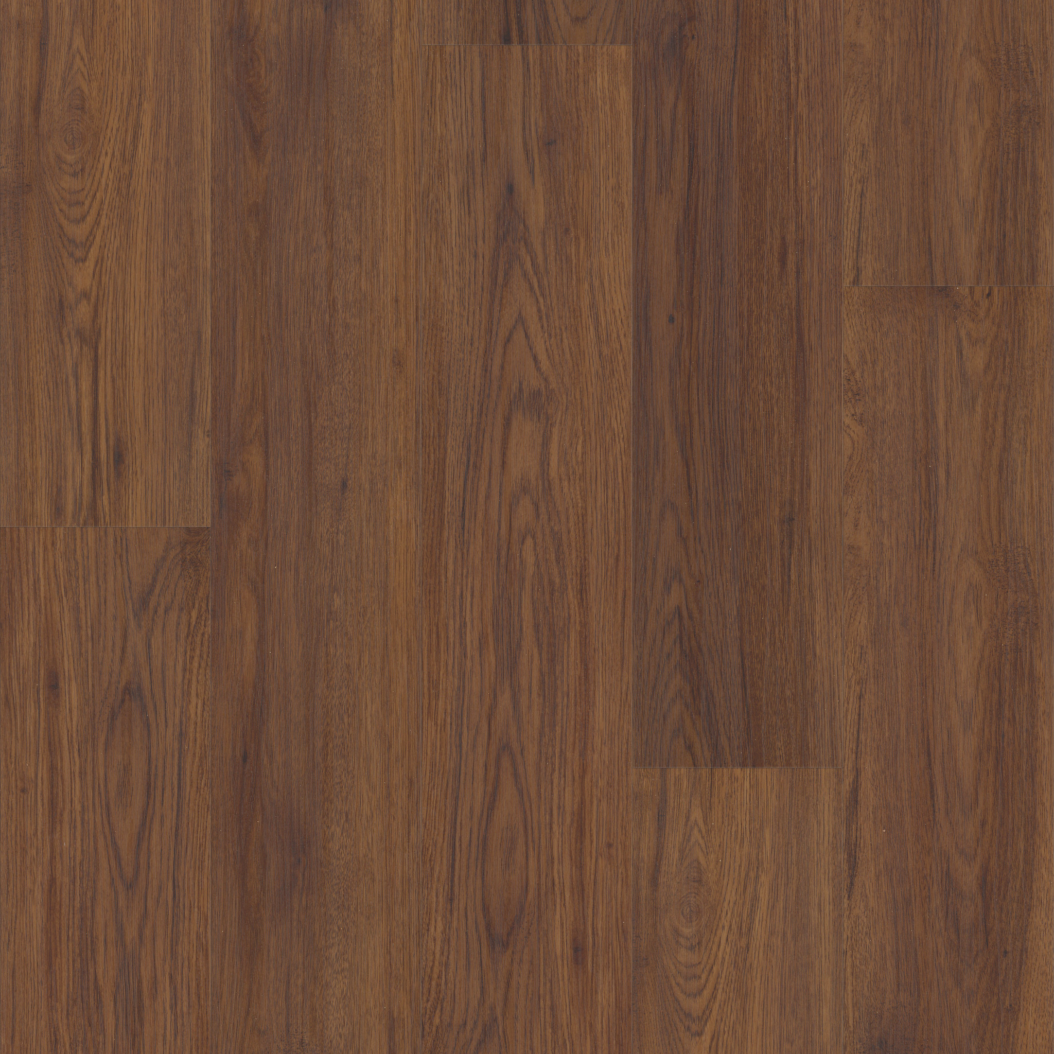 CORETEC ORIGINALS CLASSICS VV024 FIDALGO OAK MAIN