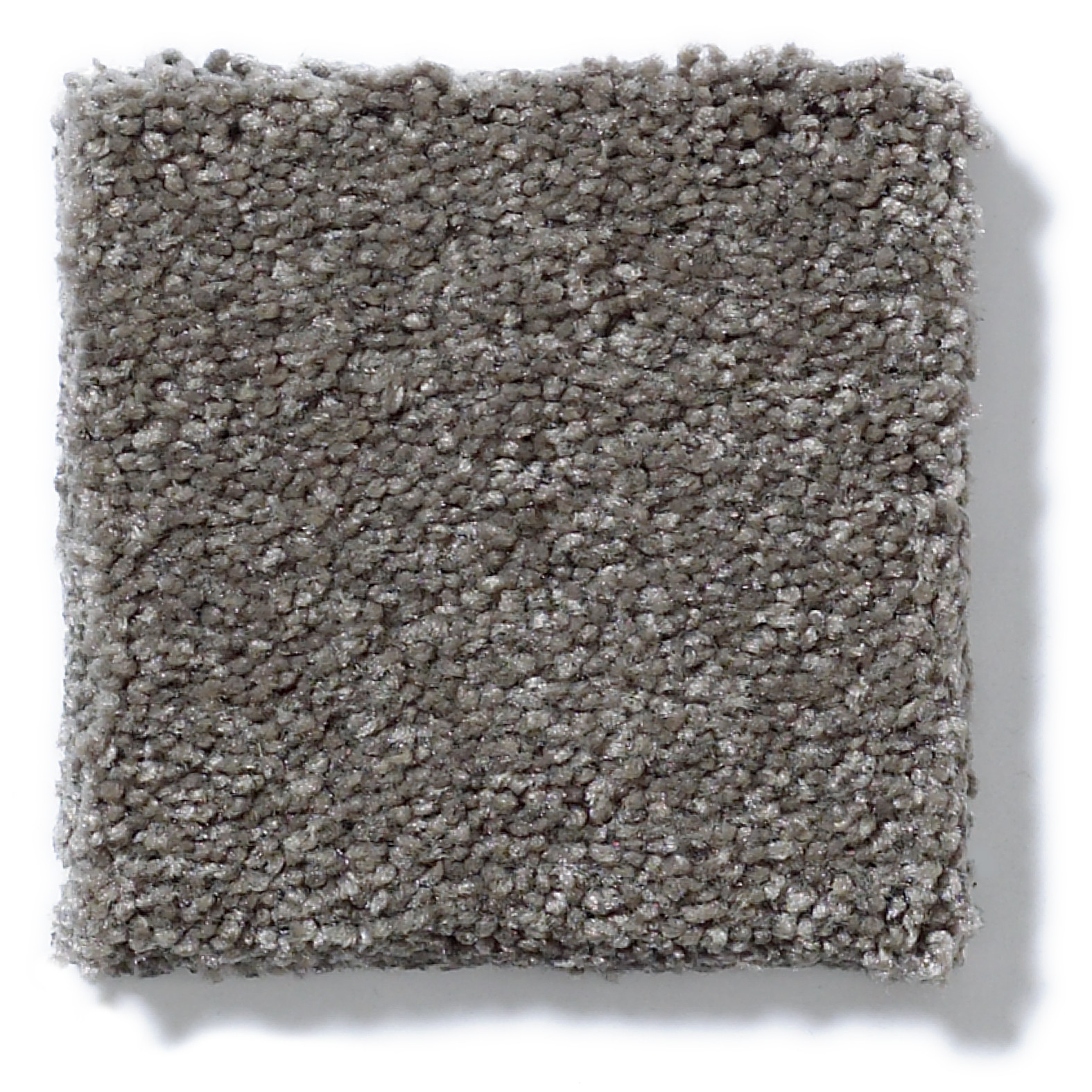 WHAT'S UP STONE HEARTH SWATCH
