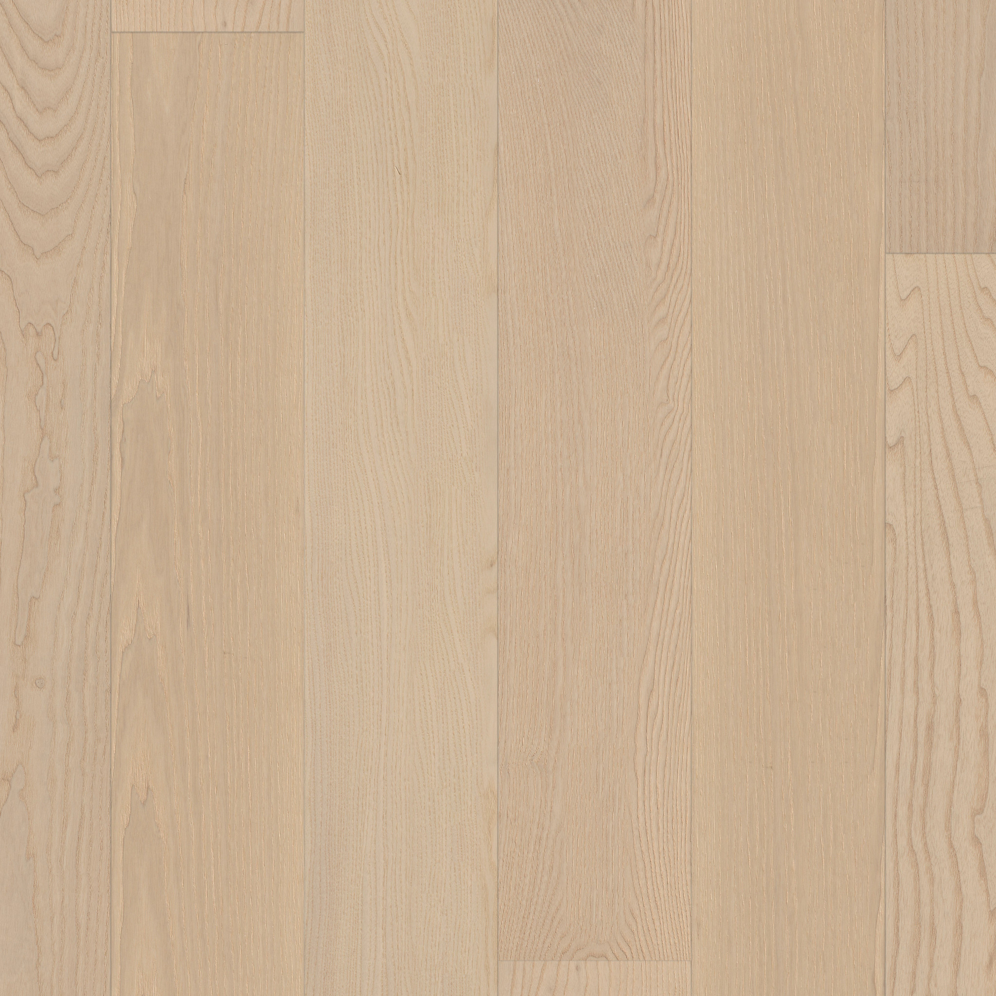 EUROPEAN ASH