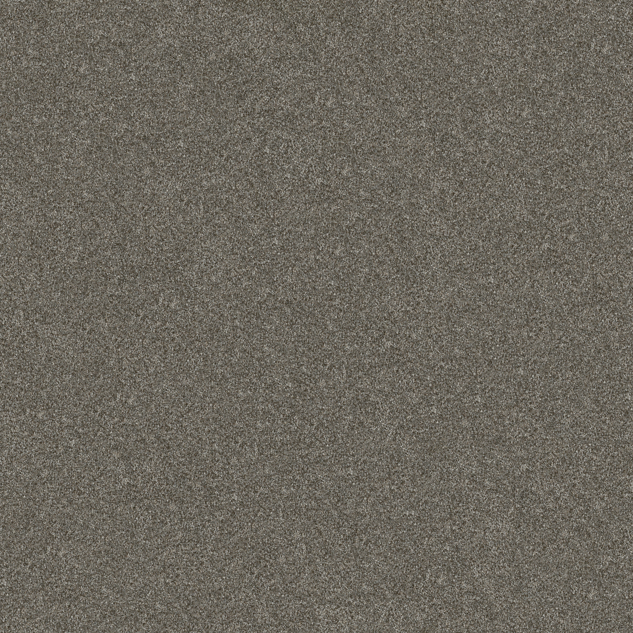 WITHOUT LIMITS II ORGANIC MAIN