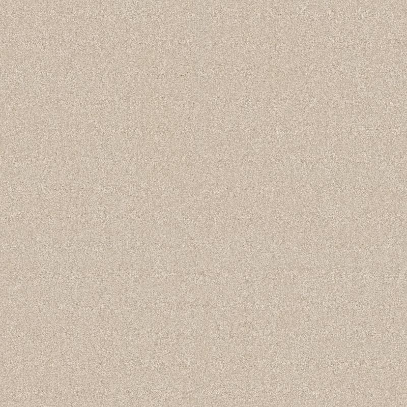 You Know It Broadloom Carpet in Rich Earth color, 12ft wide, made of 100% nylon material