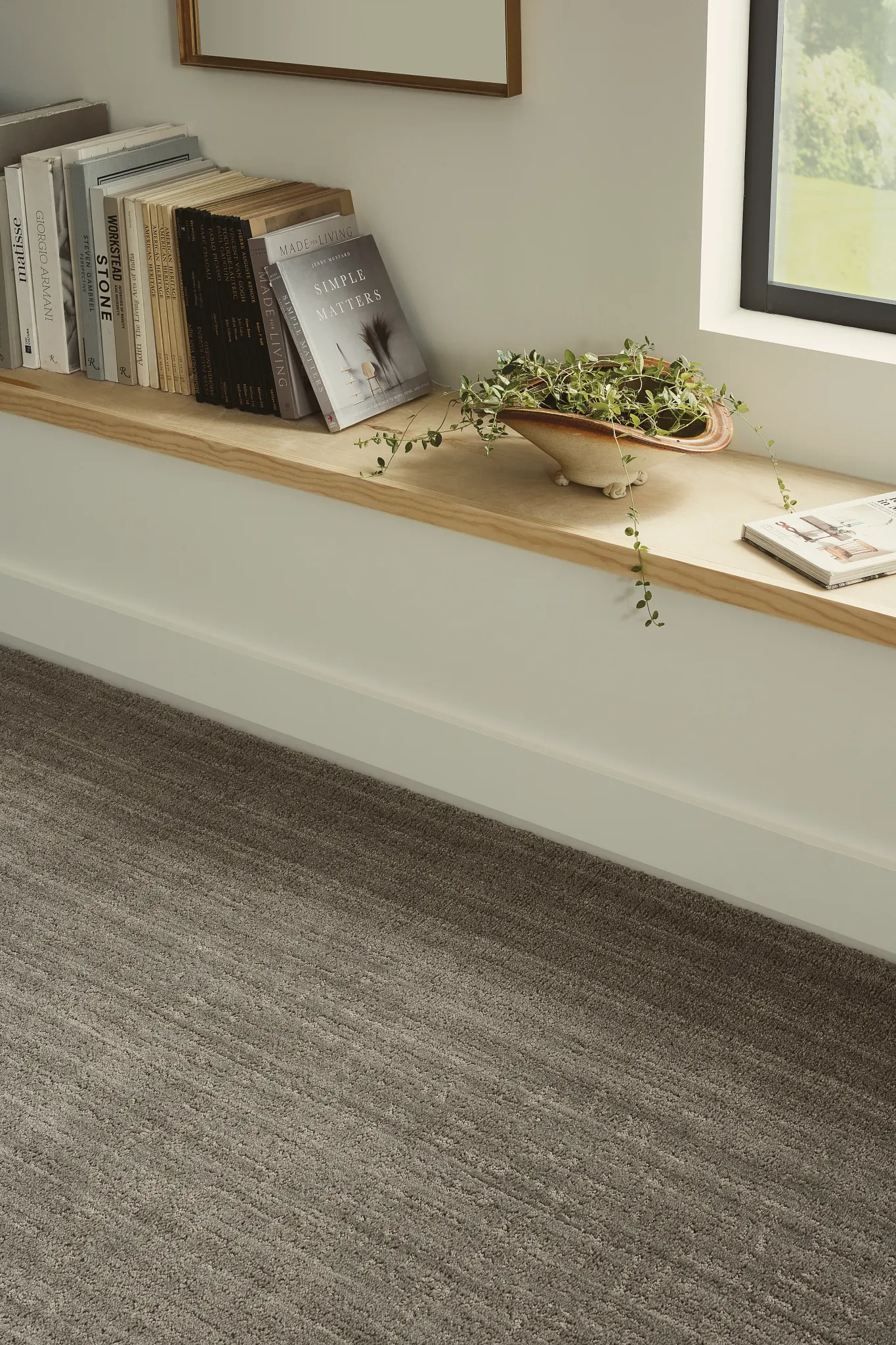 Cozy living room with a soft, textured gray carpet, books on a wooden shelf, and a potted plant by the window