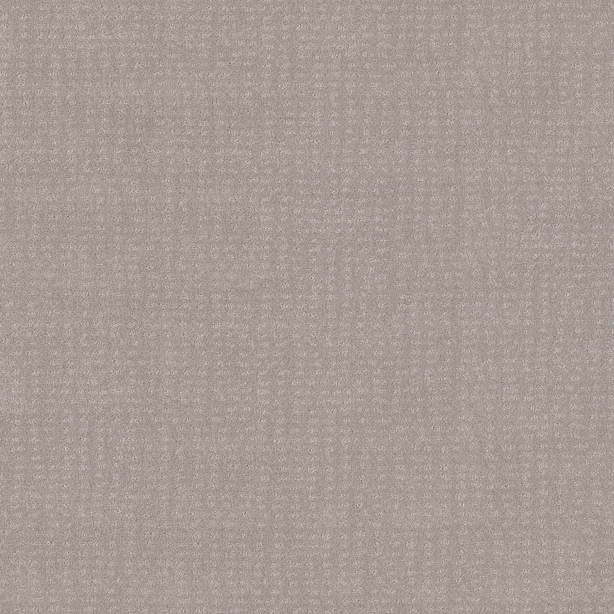 CHIC NUANCE SPLIT SEDIMENT MAIN