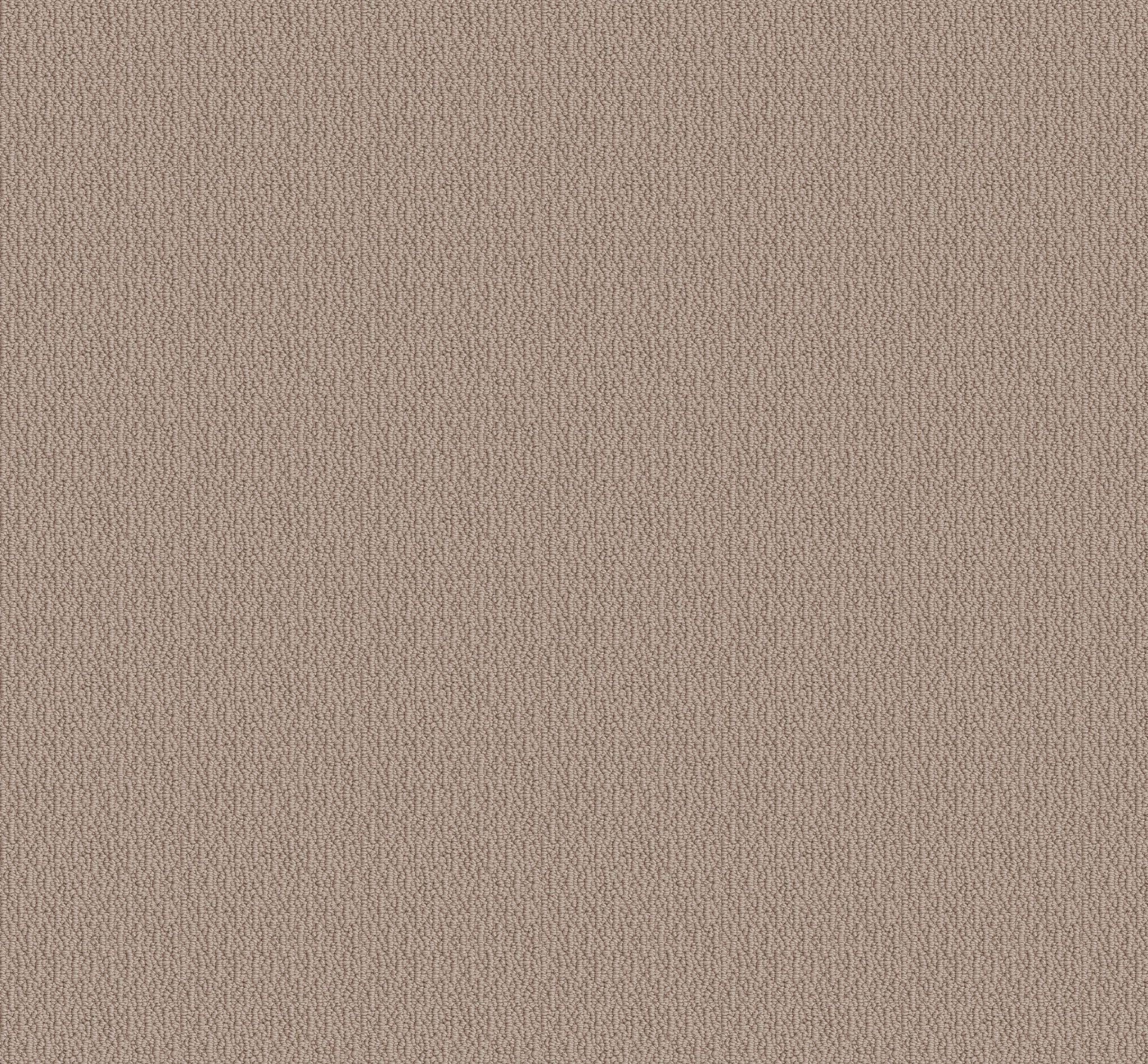 LOOP DE LOOP PEBBLE PATH MAIN