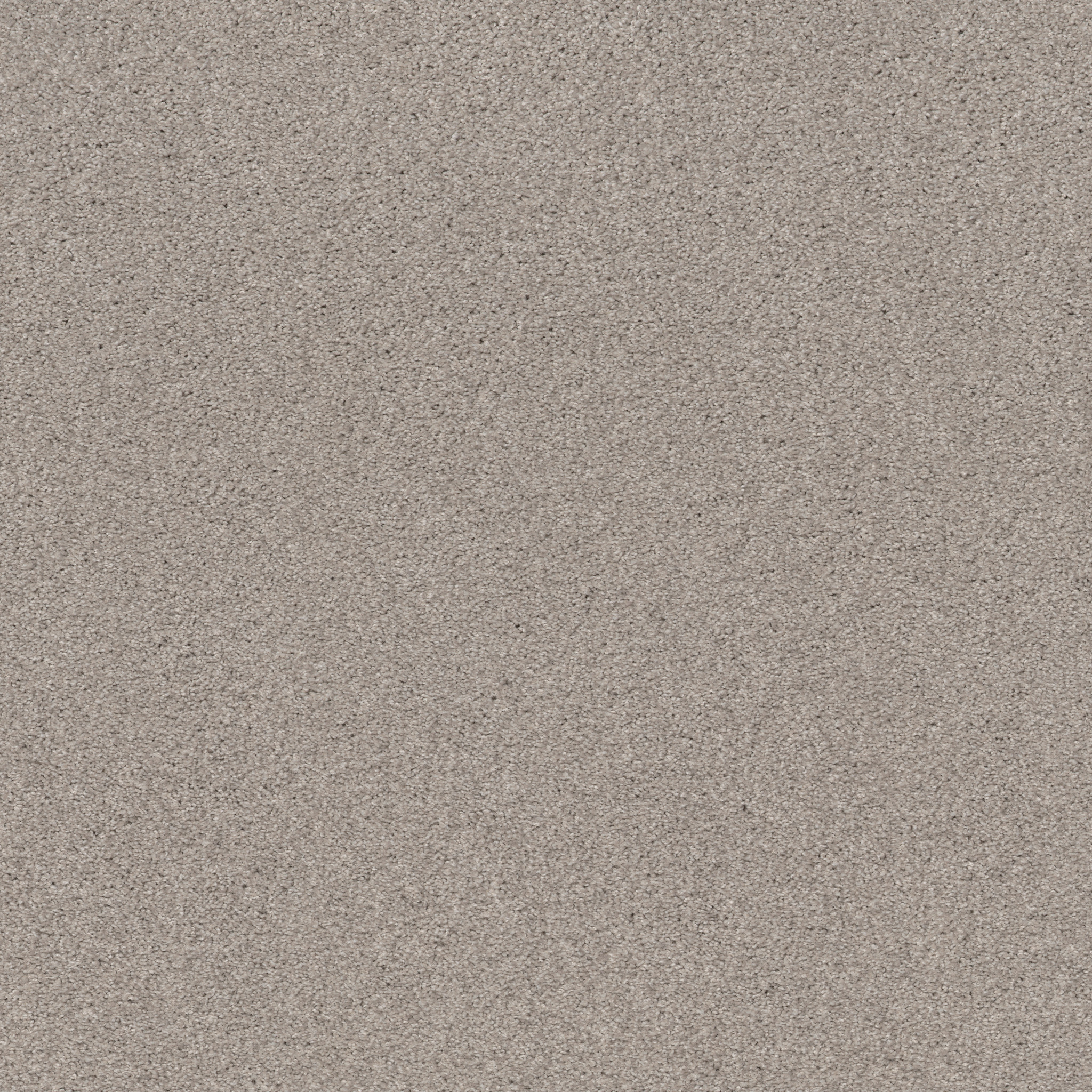 COZY HARBOR I BALTIC STONE MAIN