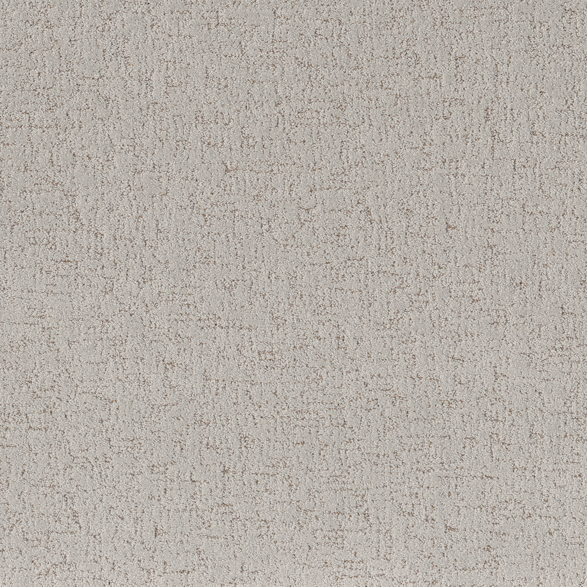 Run Free CASHMERE MAIN