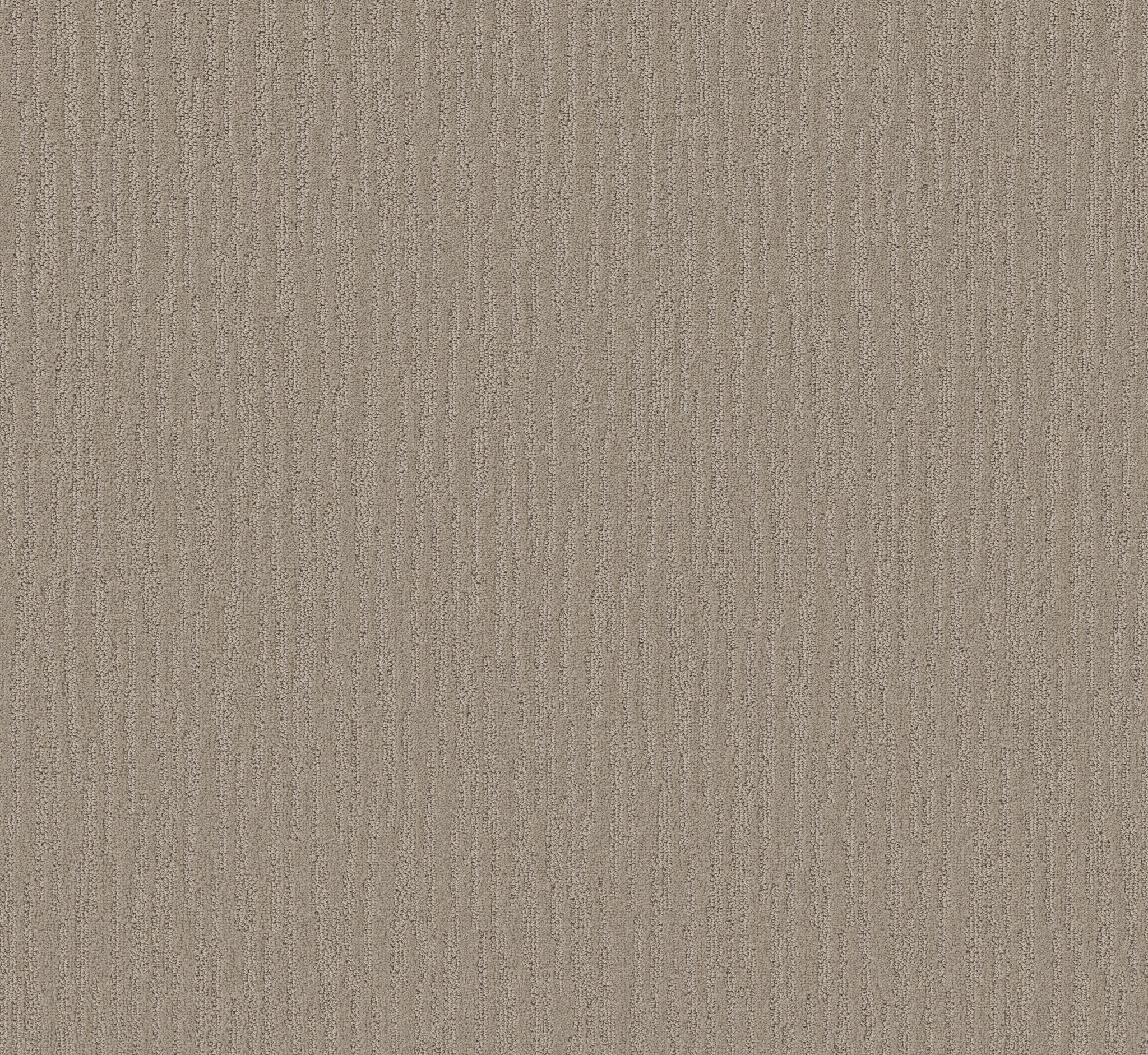 CORAL CANYON SILVER LEAF MAIN