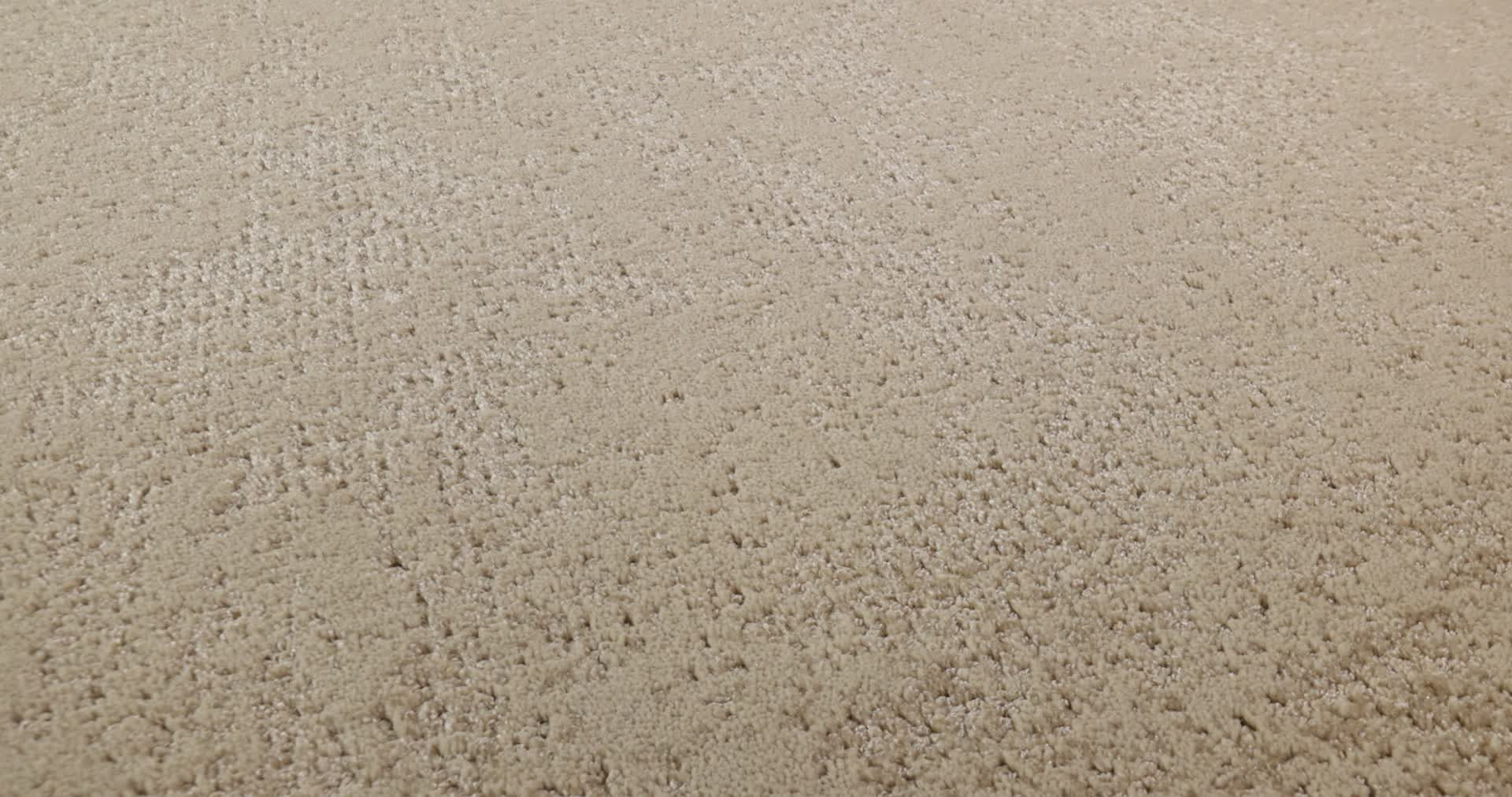 ARTISTIC PRESENCE NATURAL BEAUTY 360PROD