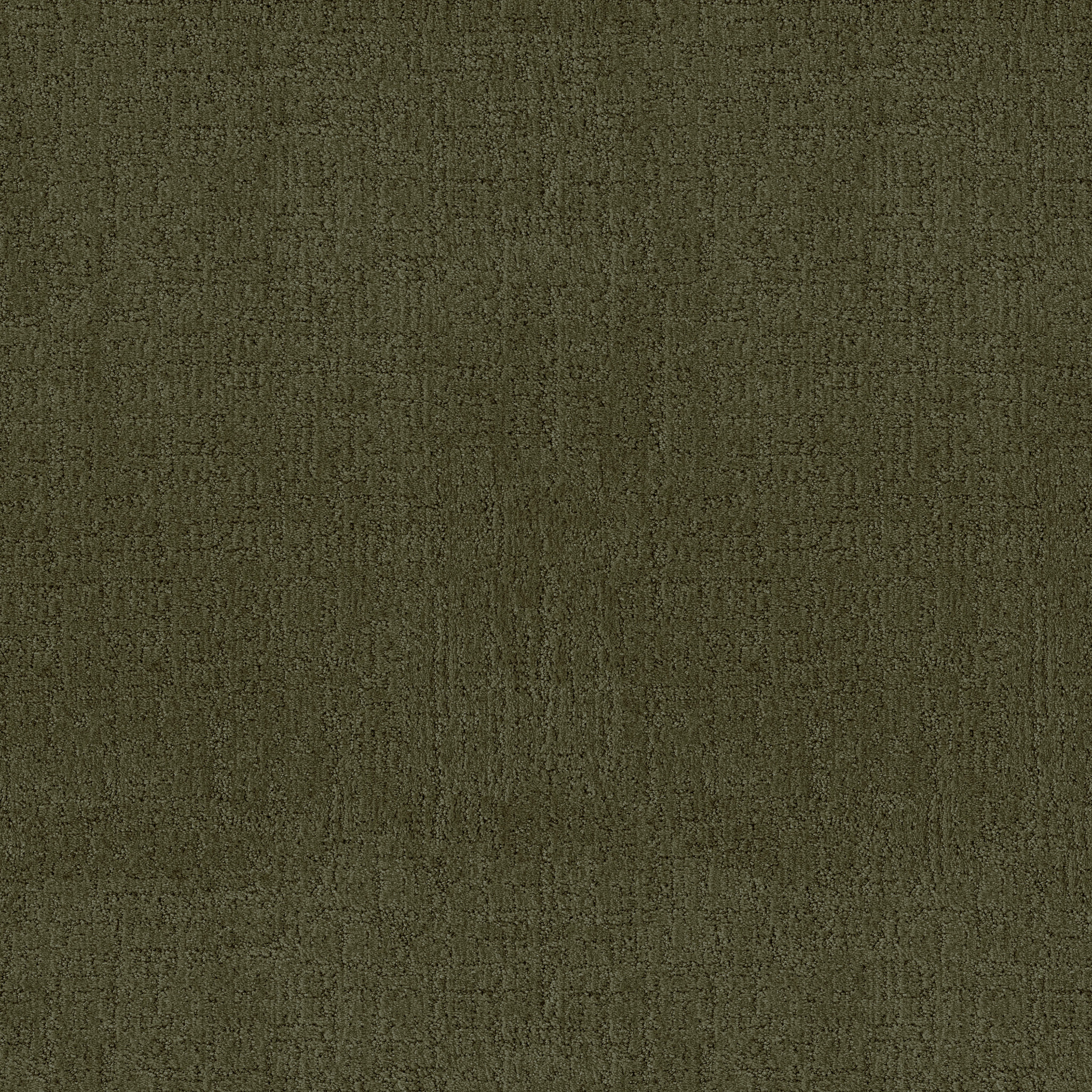 INDULGENT OLIVE TREE MAIN