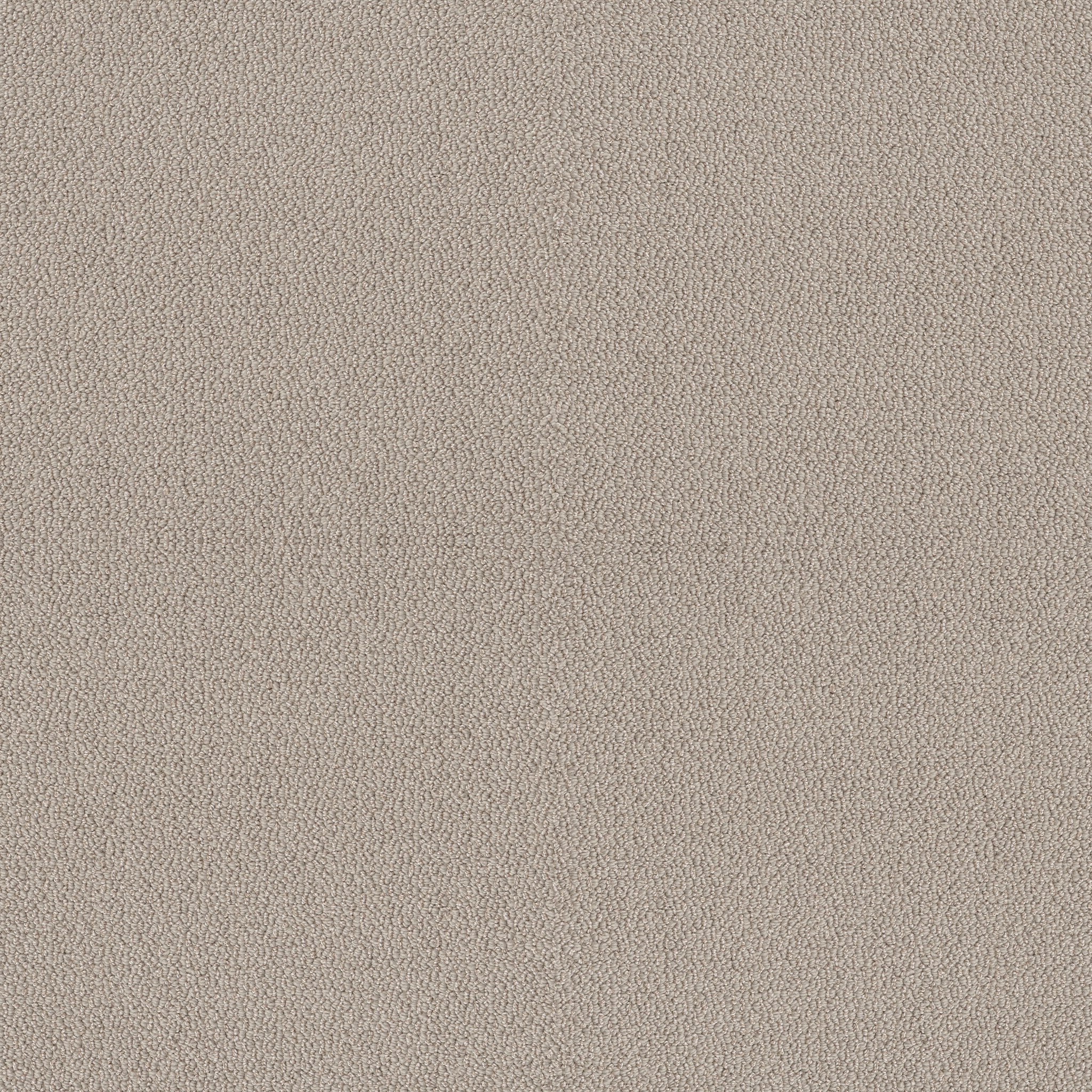 EMBELLISHED BIRCH MAIN