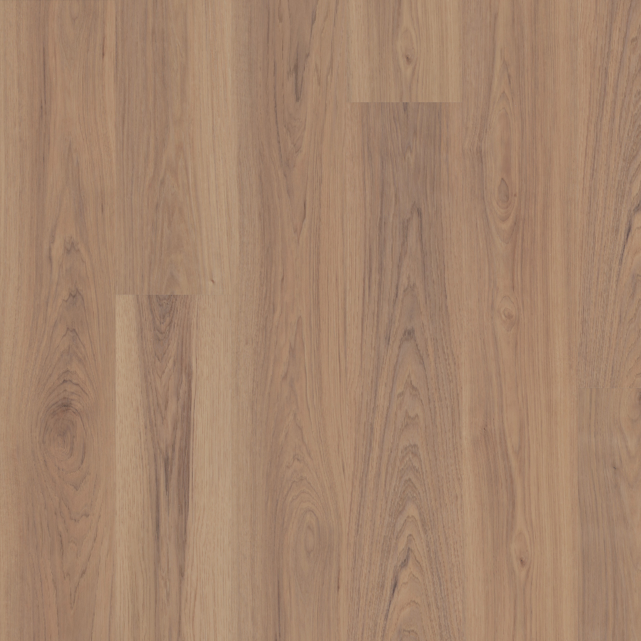 MALTESE RATTAN HICKORY MAIN