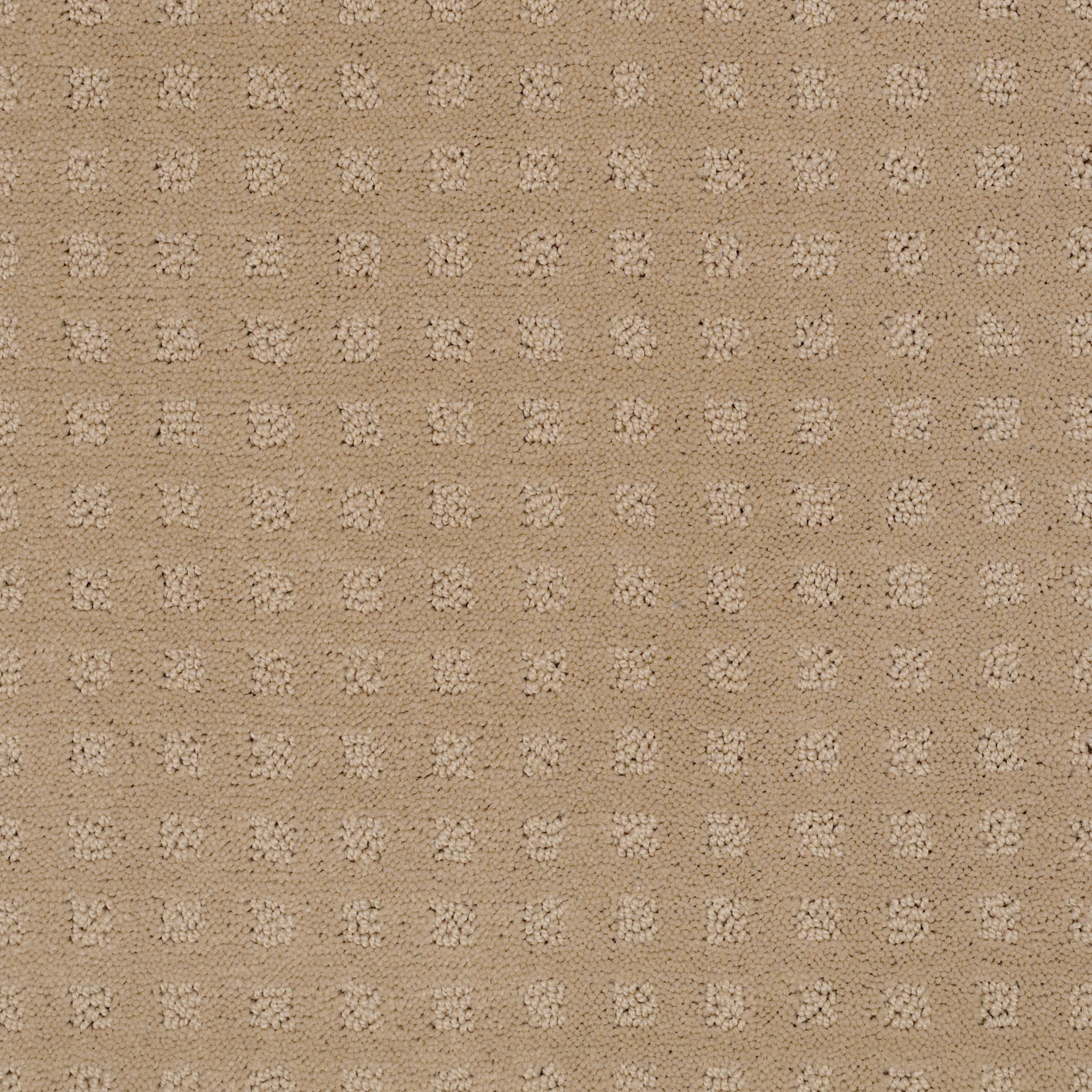 NEW HOME PLACE TUSK MAIN