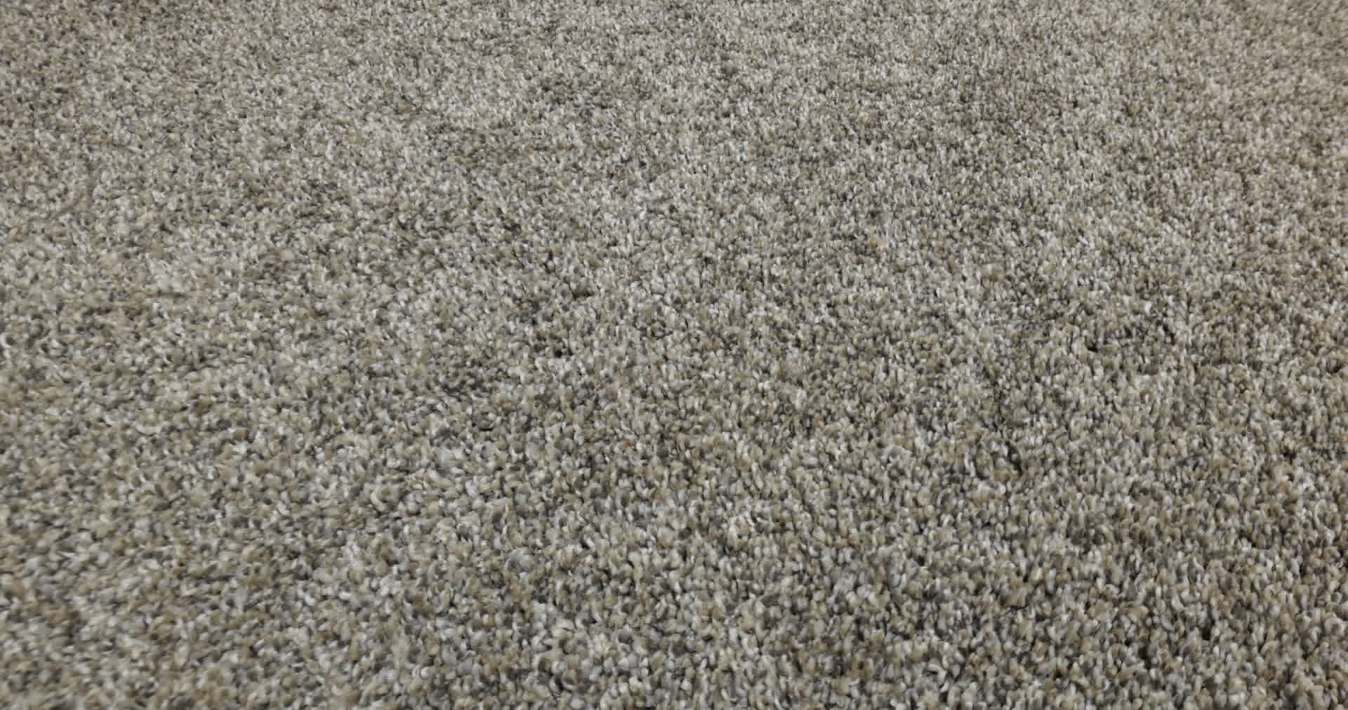 REMIXED CLASSIC NUTRIA 360PROD