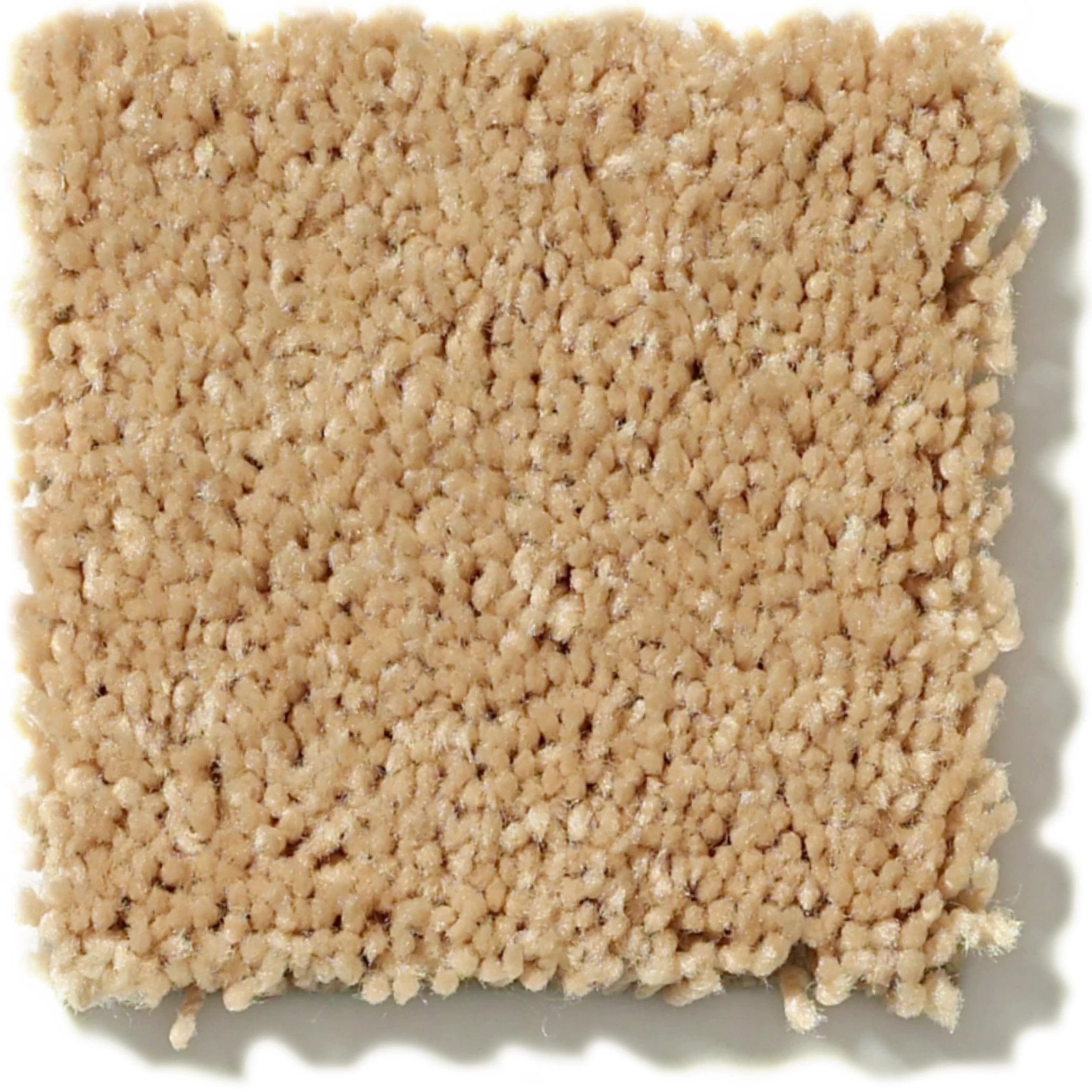 FIELDER'S CHOICE 15' SUN BEAM SWATCH