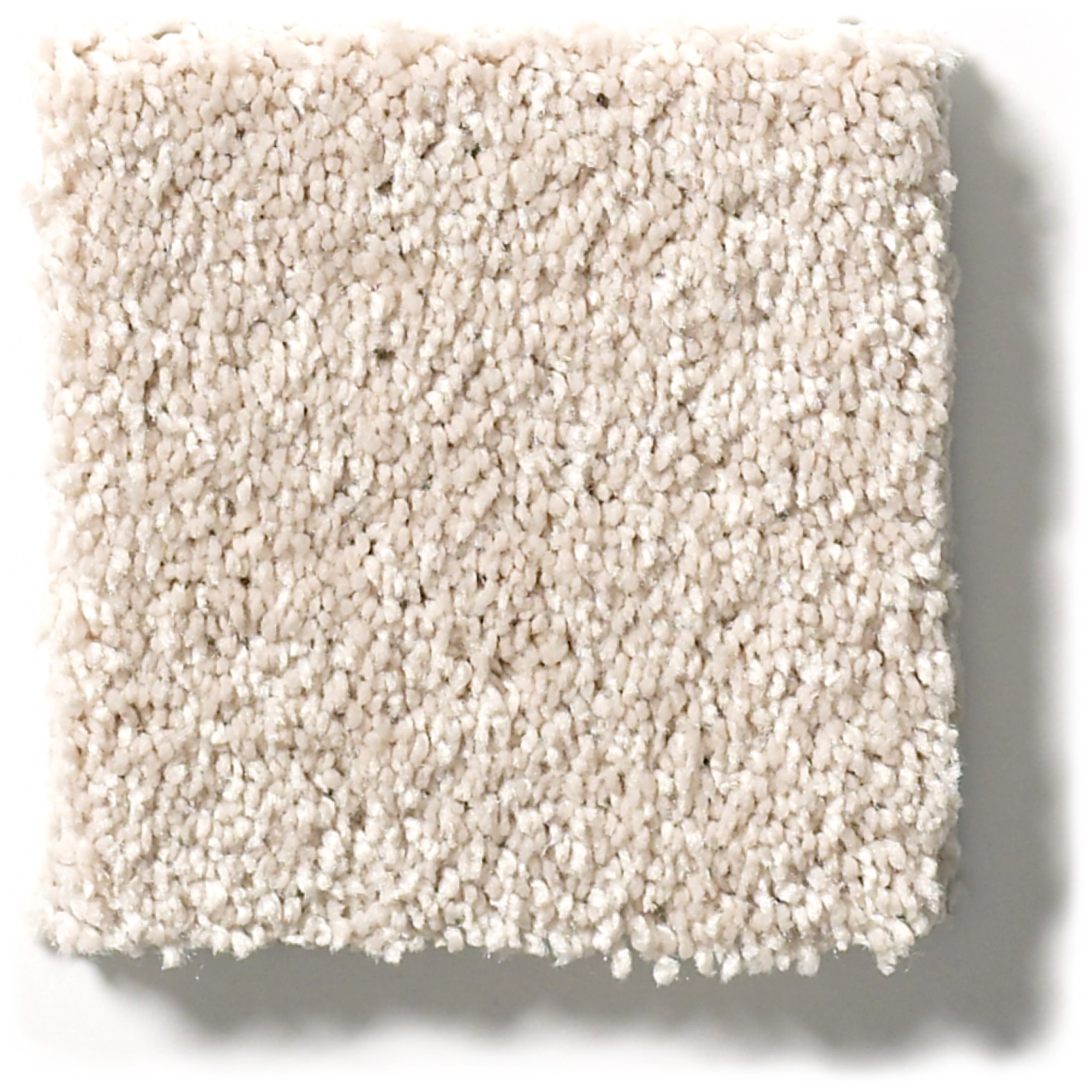 BASIC RULES BLUSH SWATCH