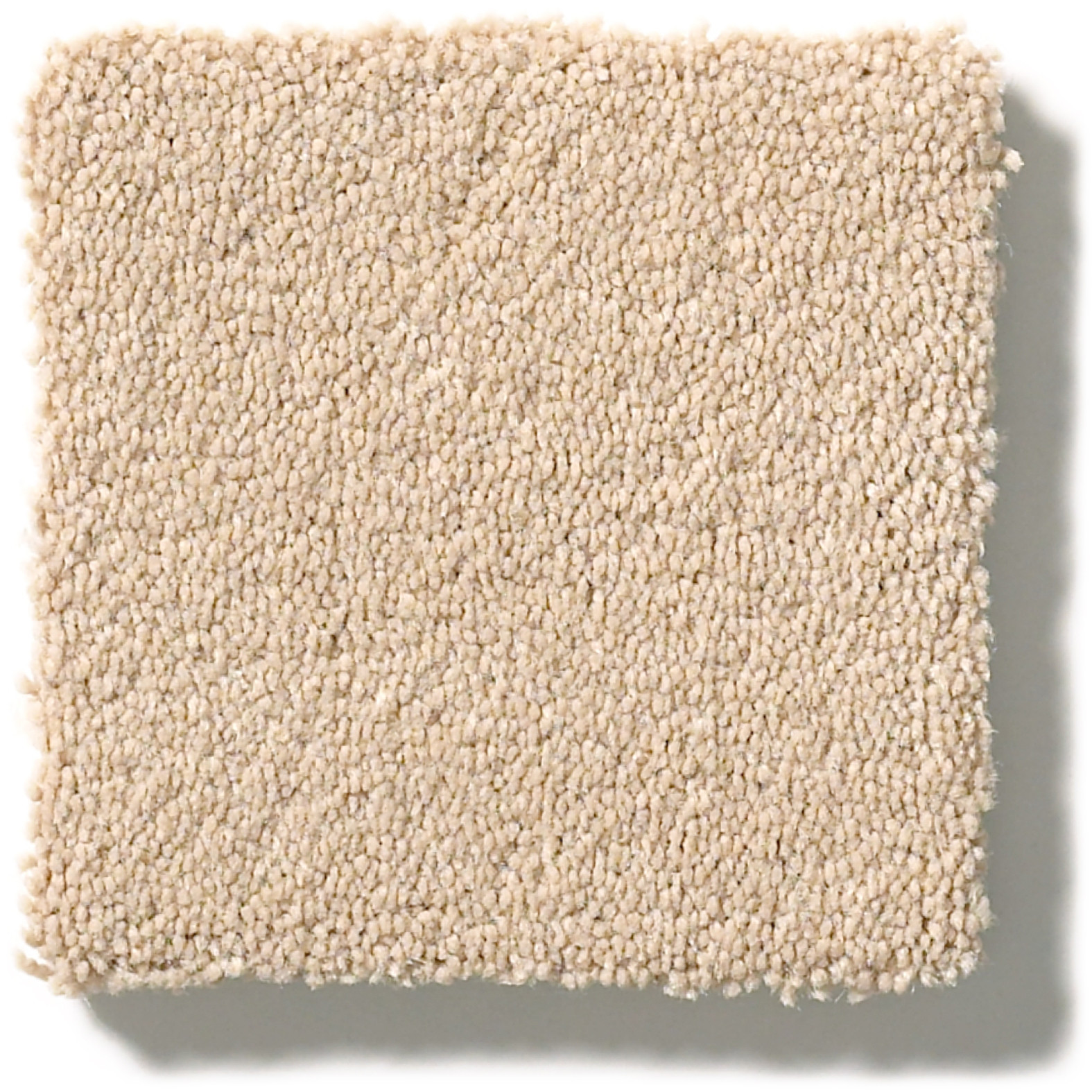 PERFECT CHOICE COCOA SAND SWATCH