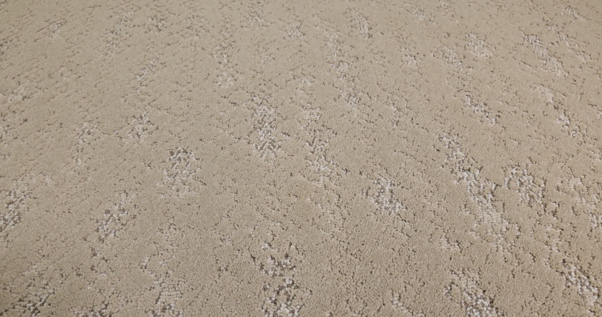 EVOKE FRESH BREAD 360PROD