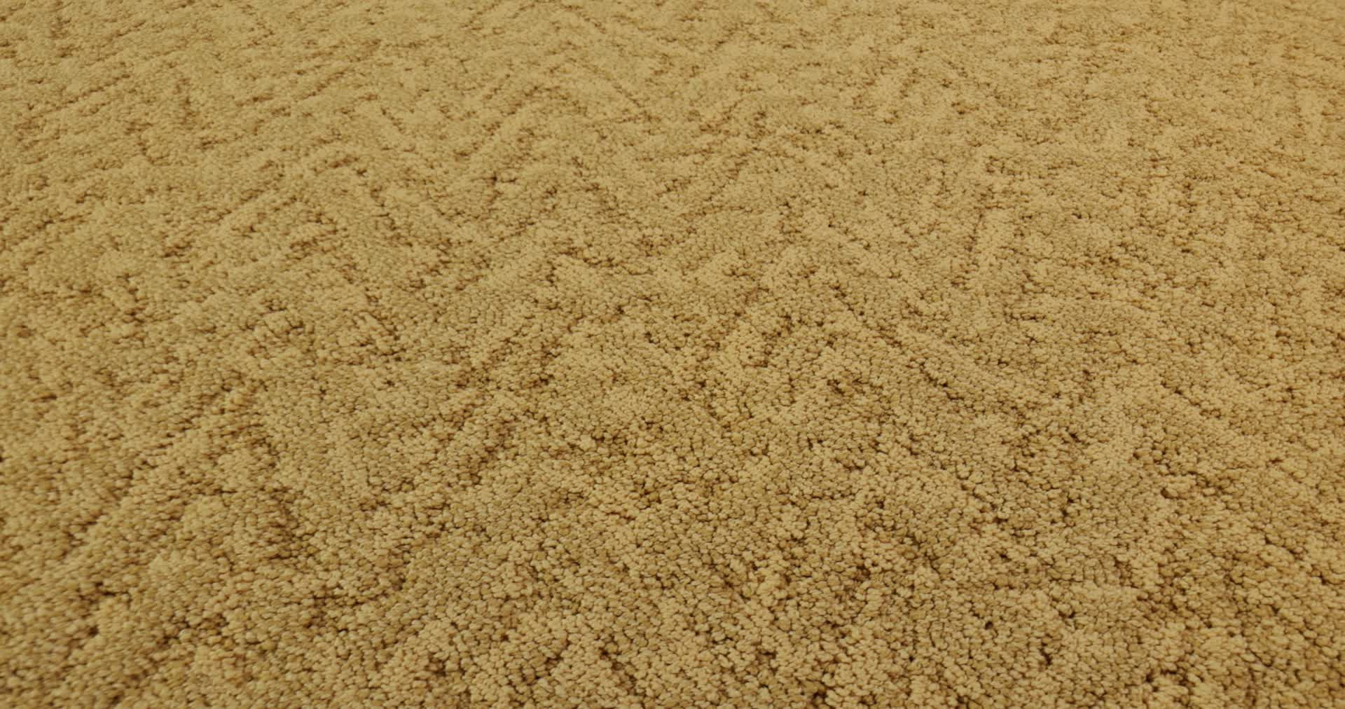 LAVISH LIVING TURMERIC 360PROD