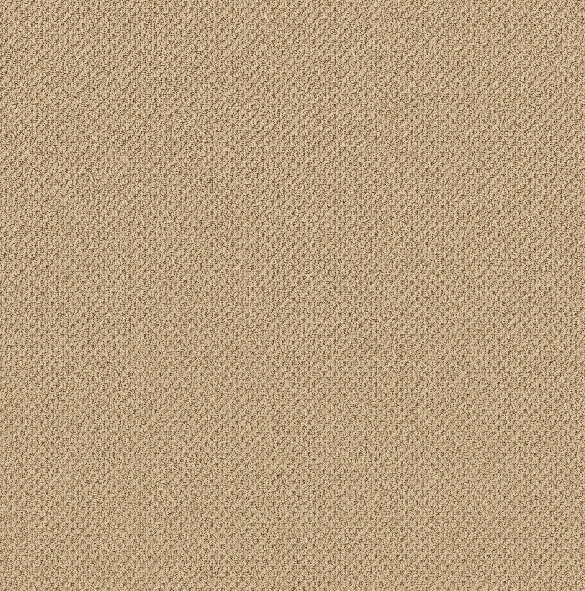 GRACIOUS PLATEAU MAIN