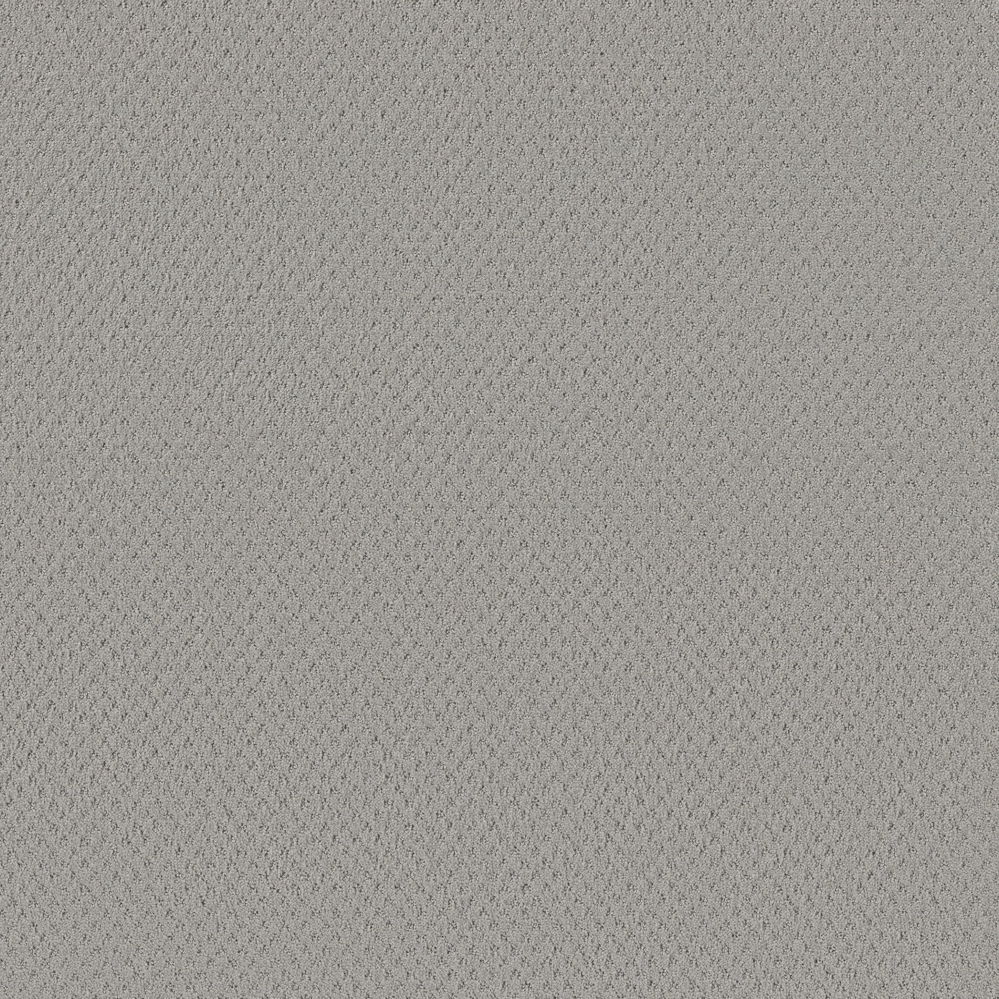 DEL VISTA SILVER FOX MAIN