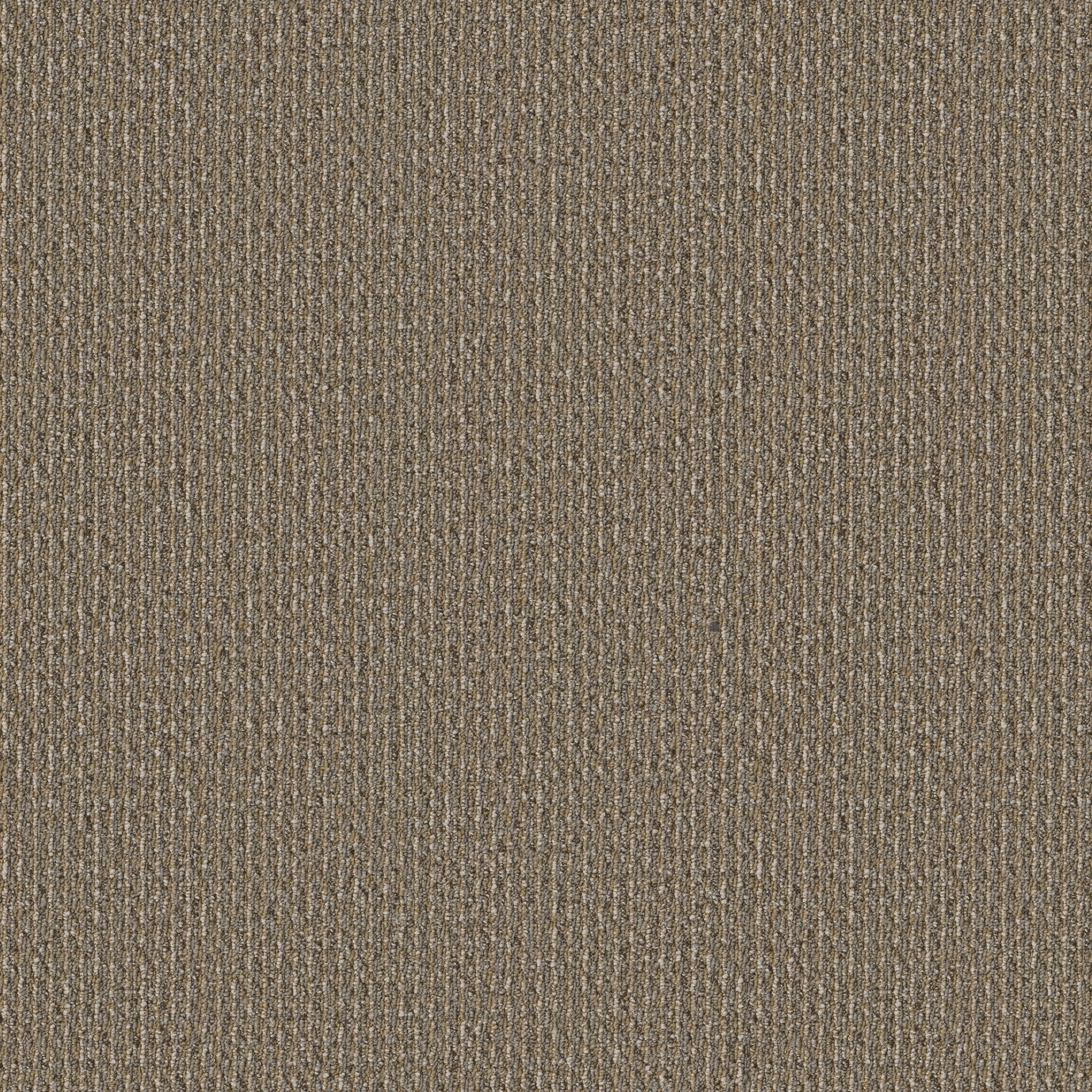 PRELUDE-54990-HERALD-00206-main-image