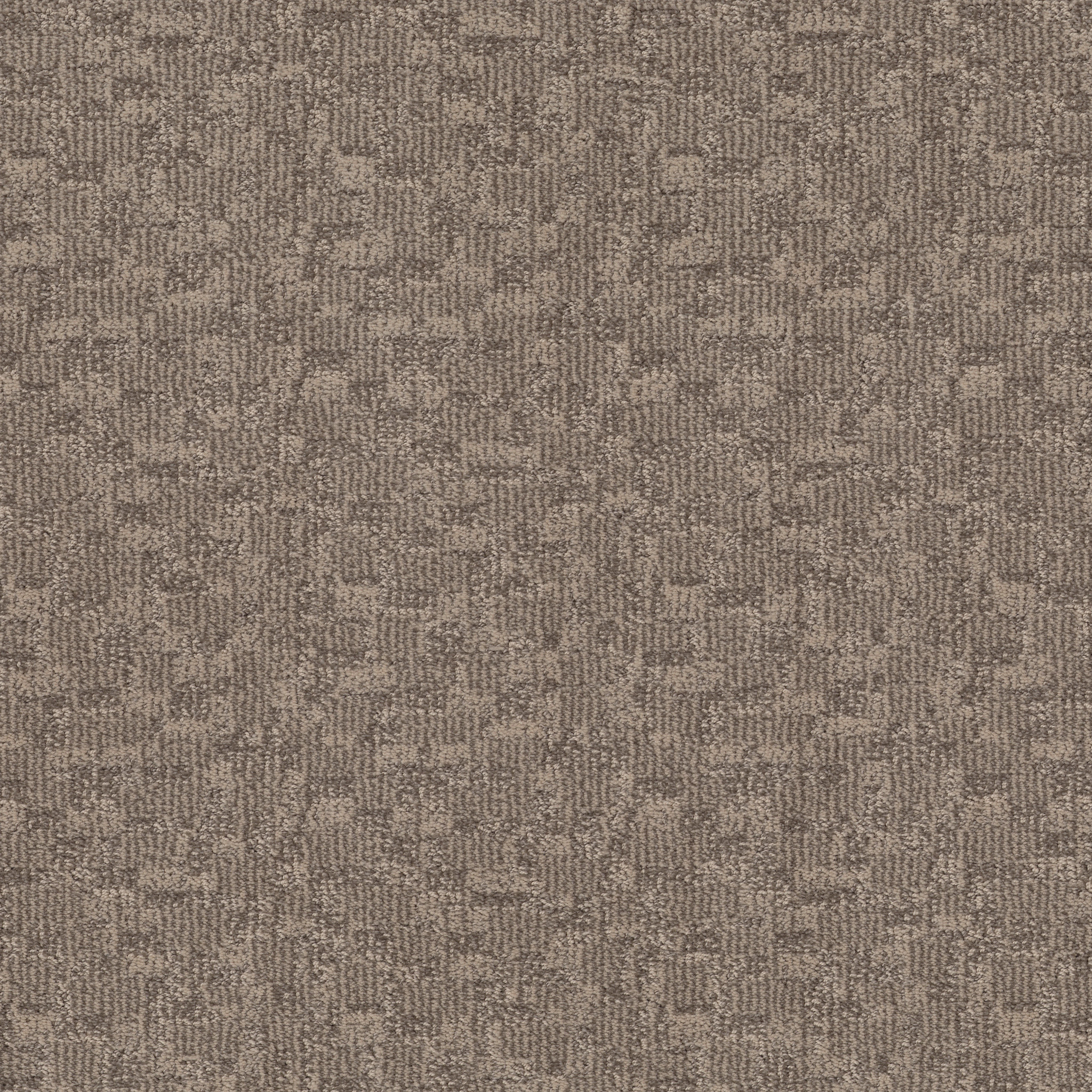 PAW-TAY DANVILLE MAIN