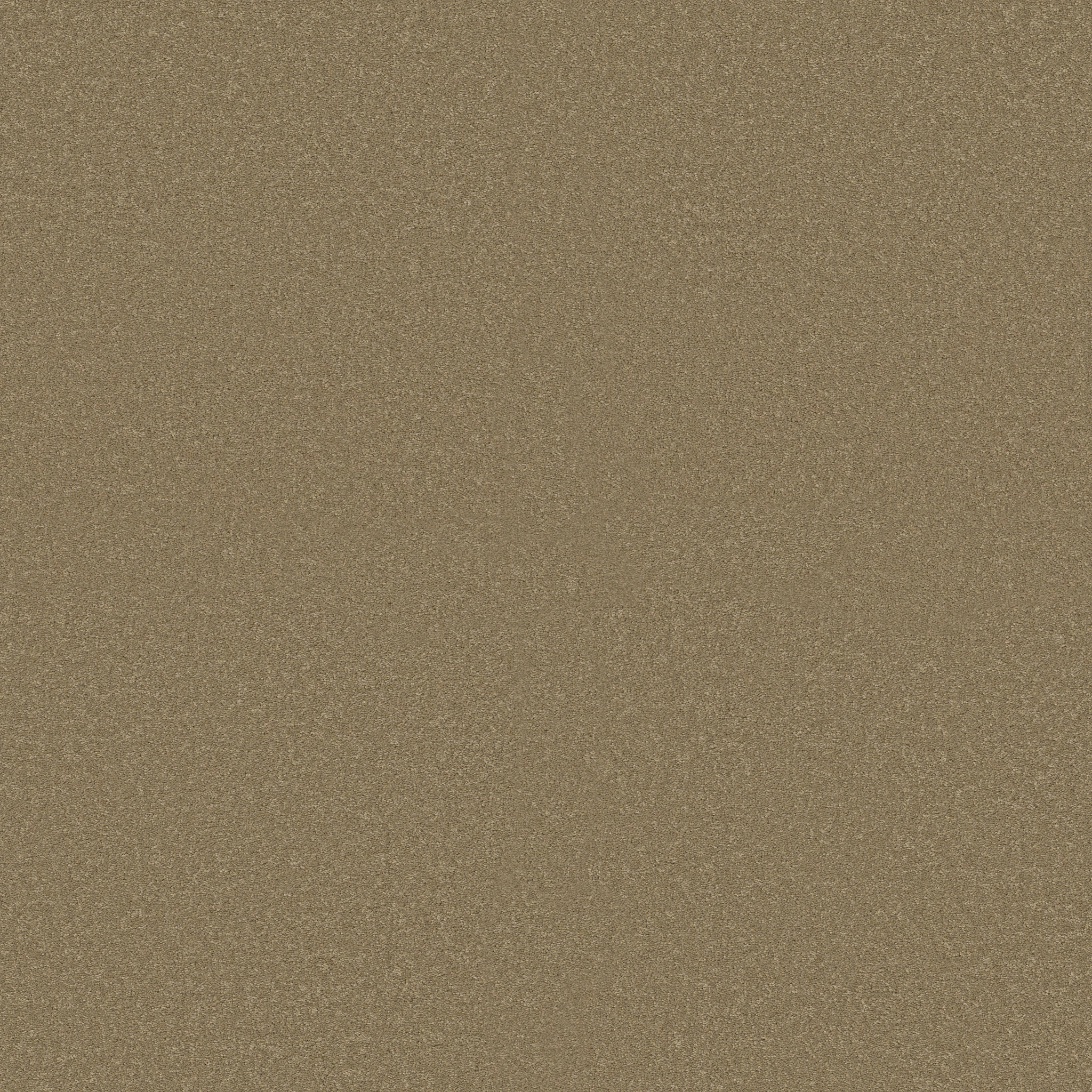 SHINGLE CREEK IV 15' SAHARA MAIN