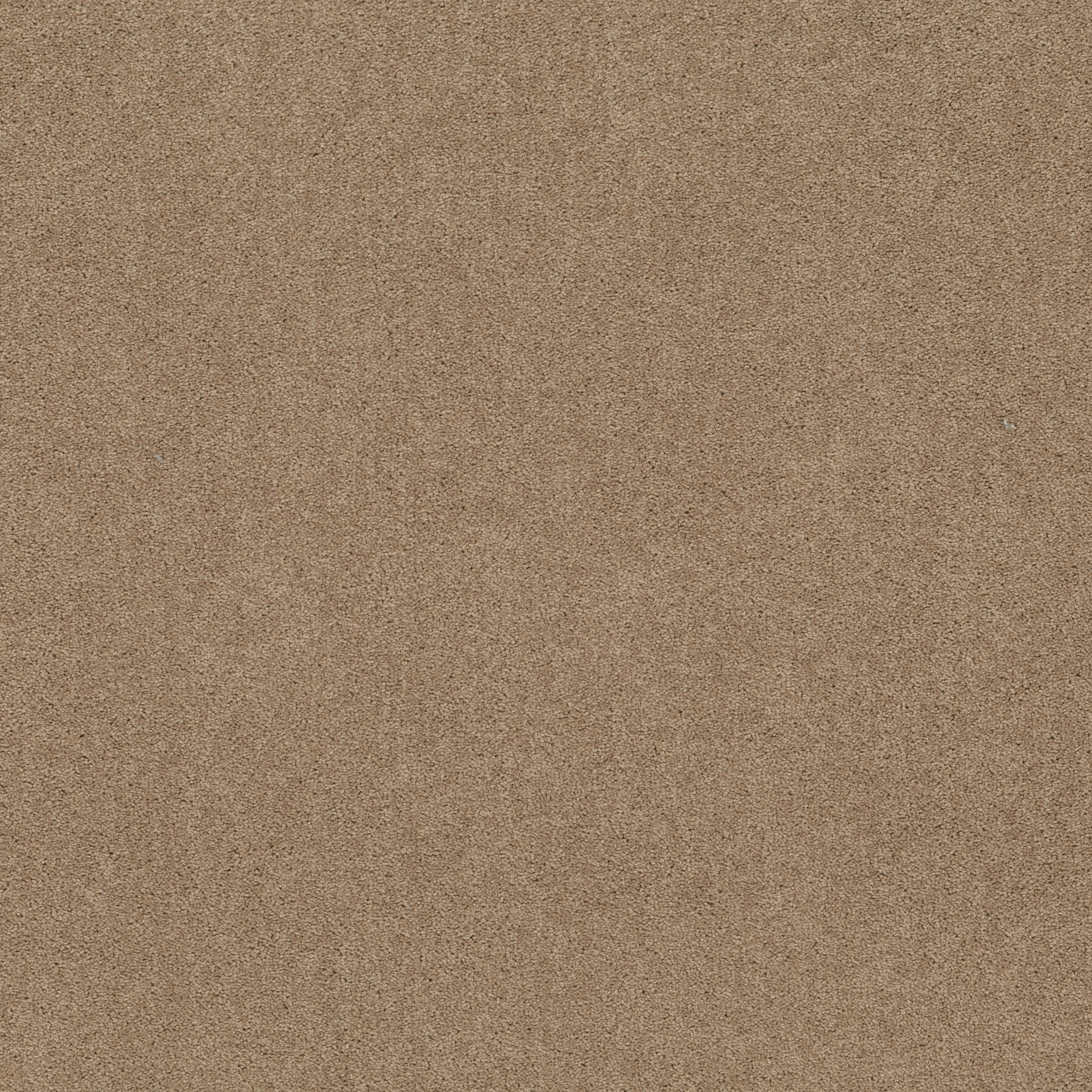 MAIDEN WAY II 12' FIELD KHAKI MAIN