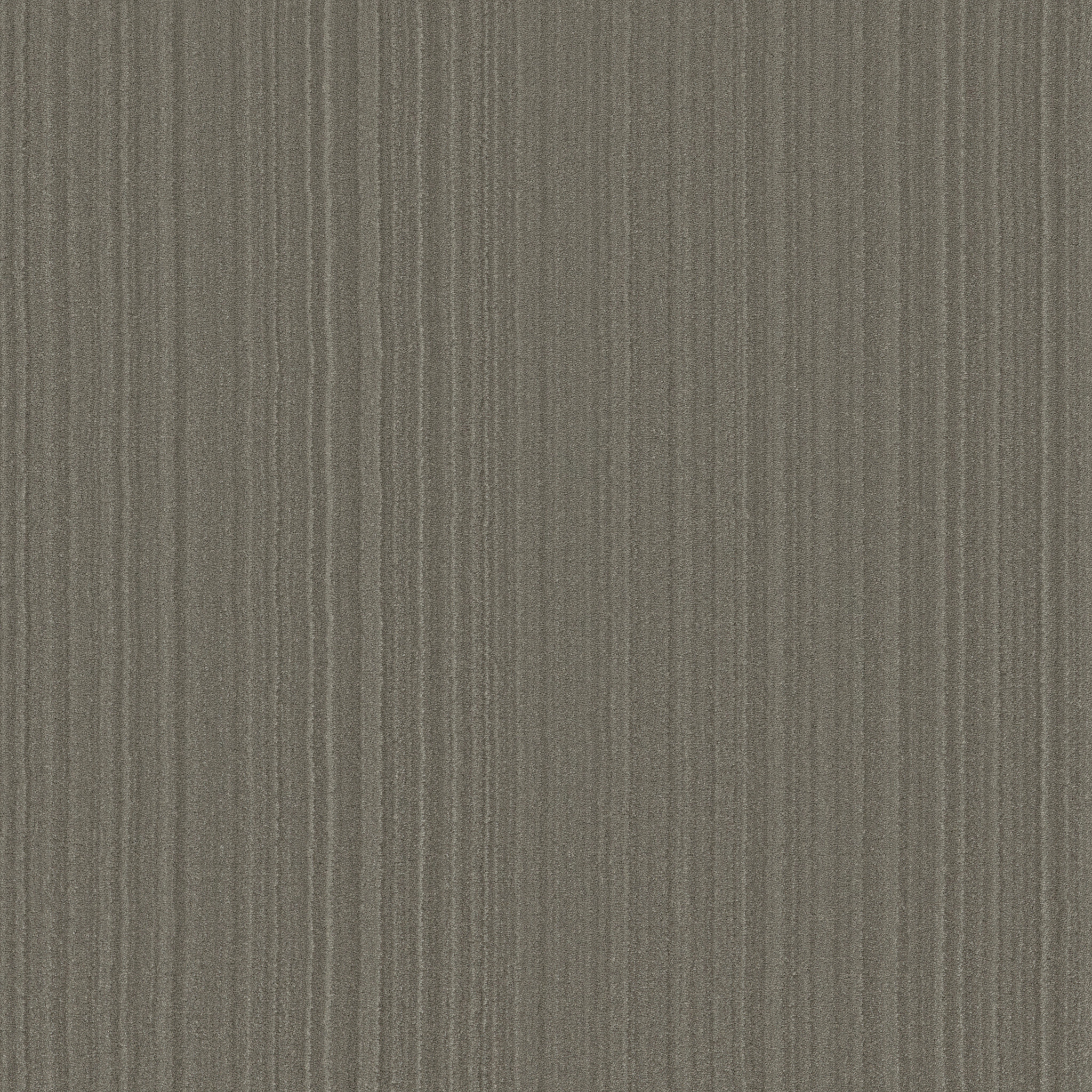 MAGNIFIQUE CATHEDRAL MAIN