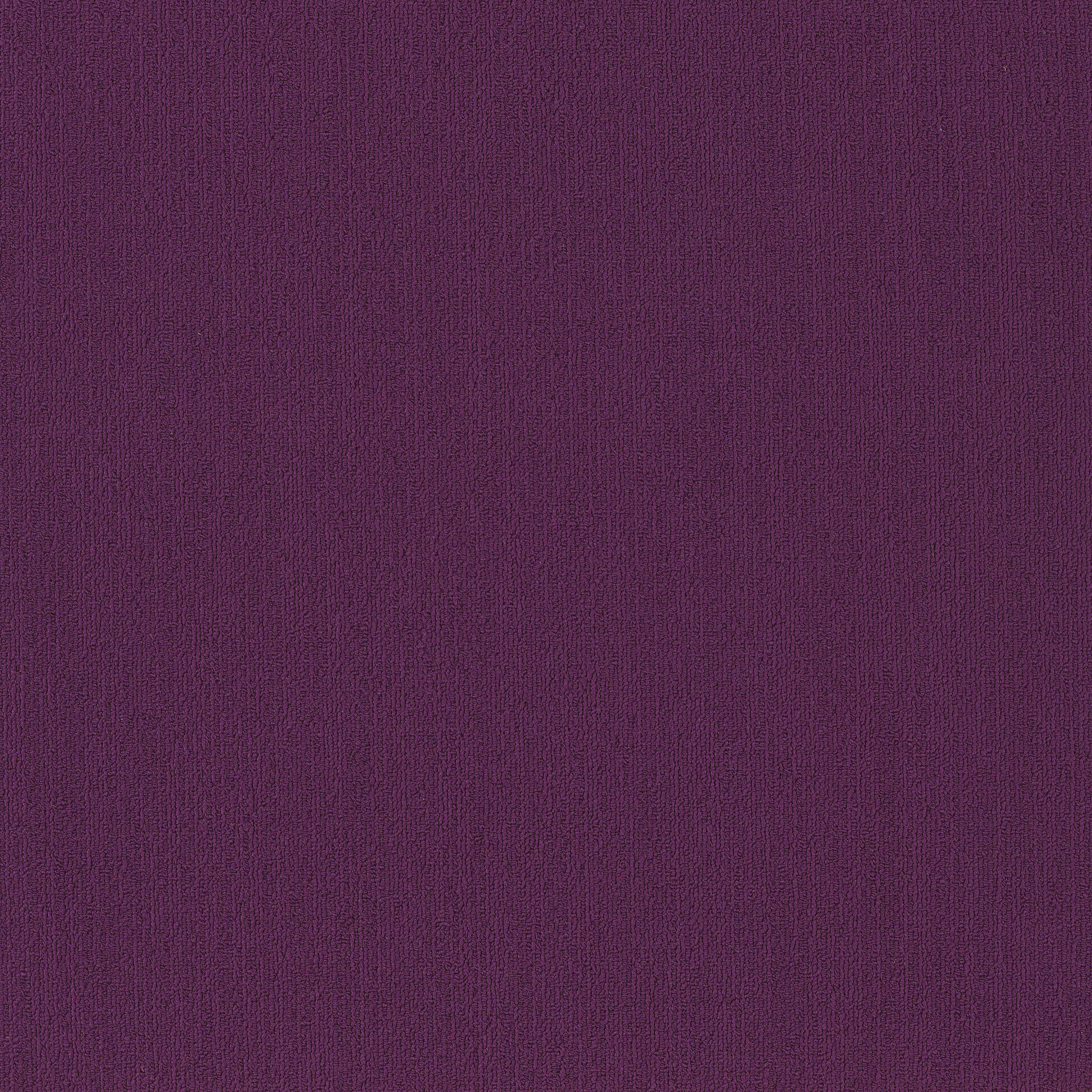 COLOR-ACCENTS-BL-54584-PURPLE-62901-main-image