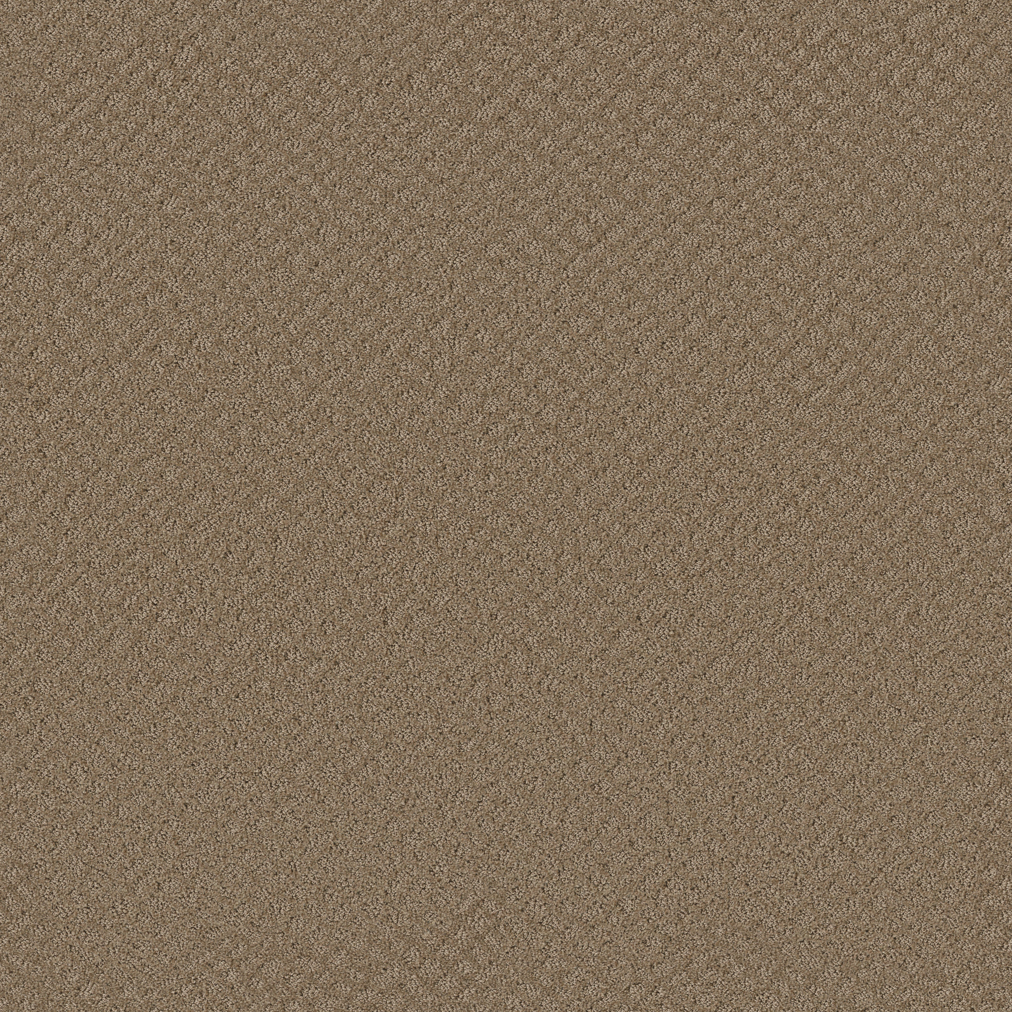 CHIC SHADES RAW WOOD MAIN