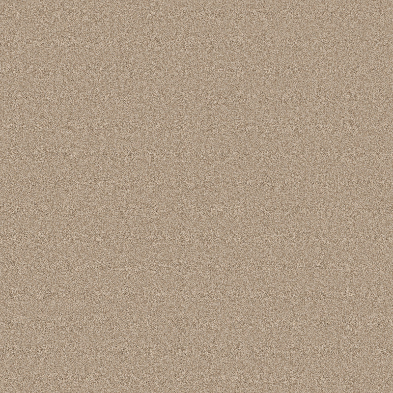 DEL RIO I in Hayloft by Shaw Floors