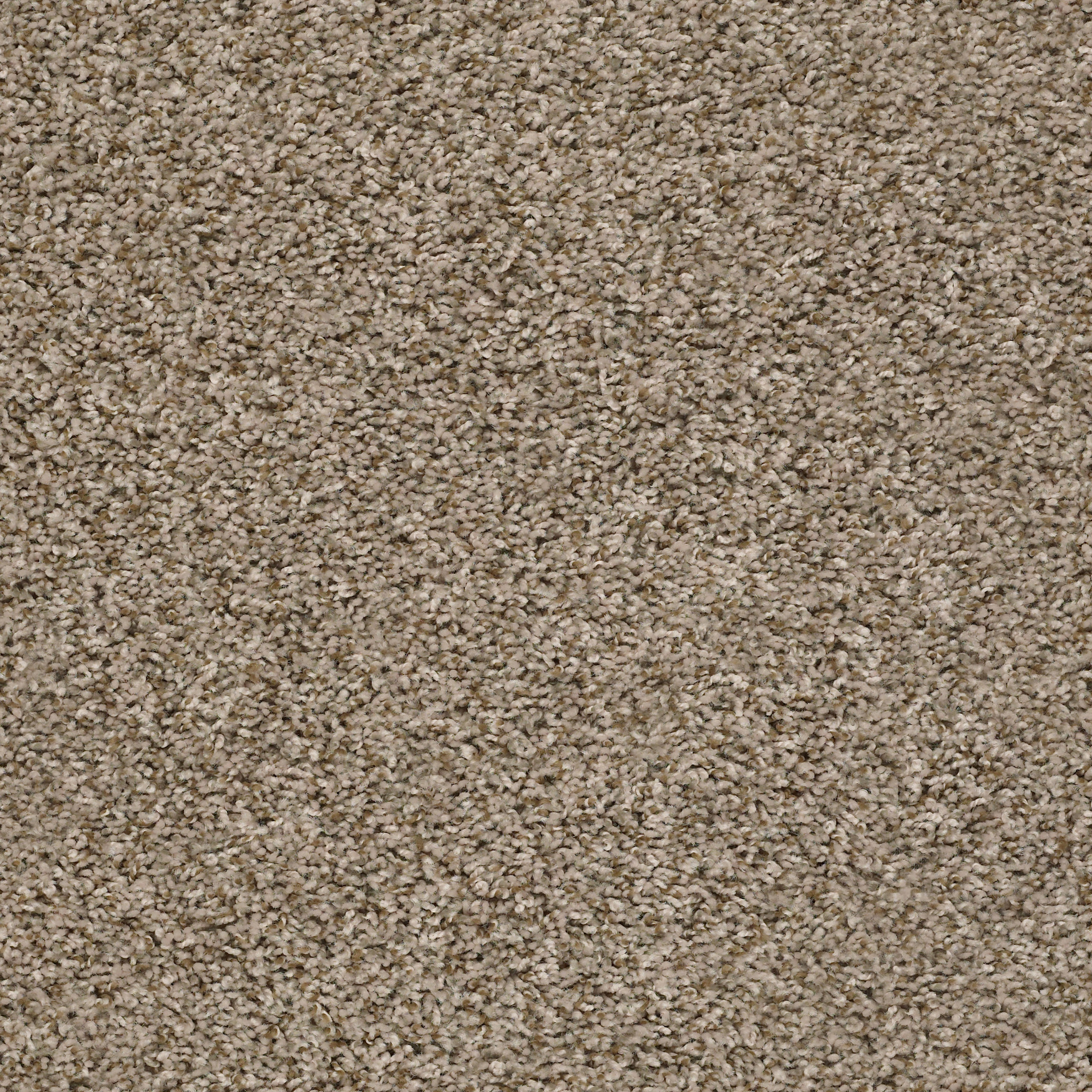 Break Away - Tonal BLOND WOOD MAIN