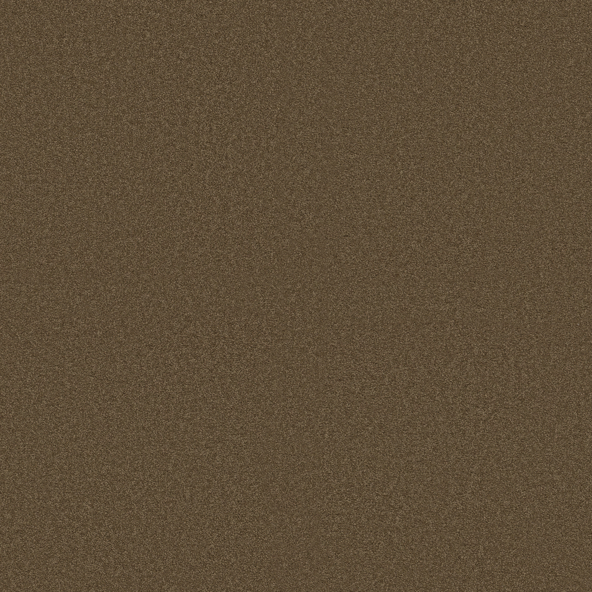 SANDY HOLLOW CLASSIC IV 15' WOODEN BOX MAIN