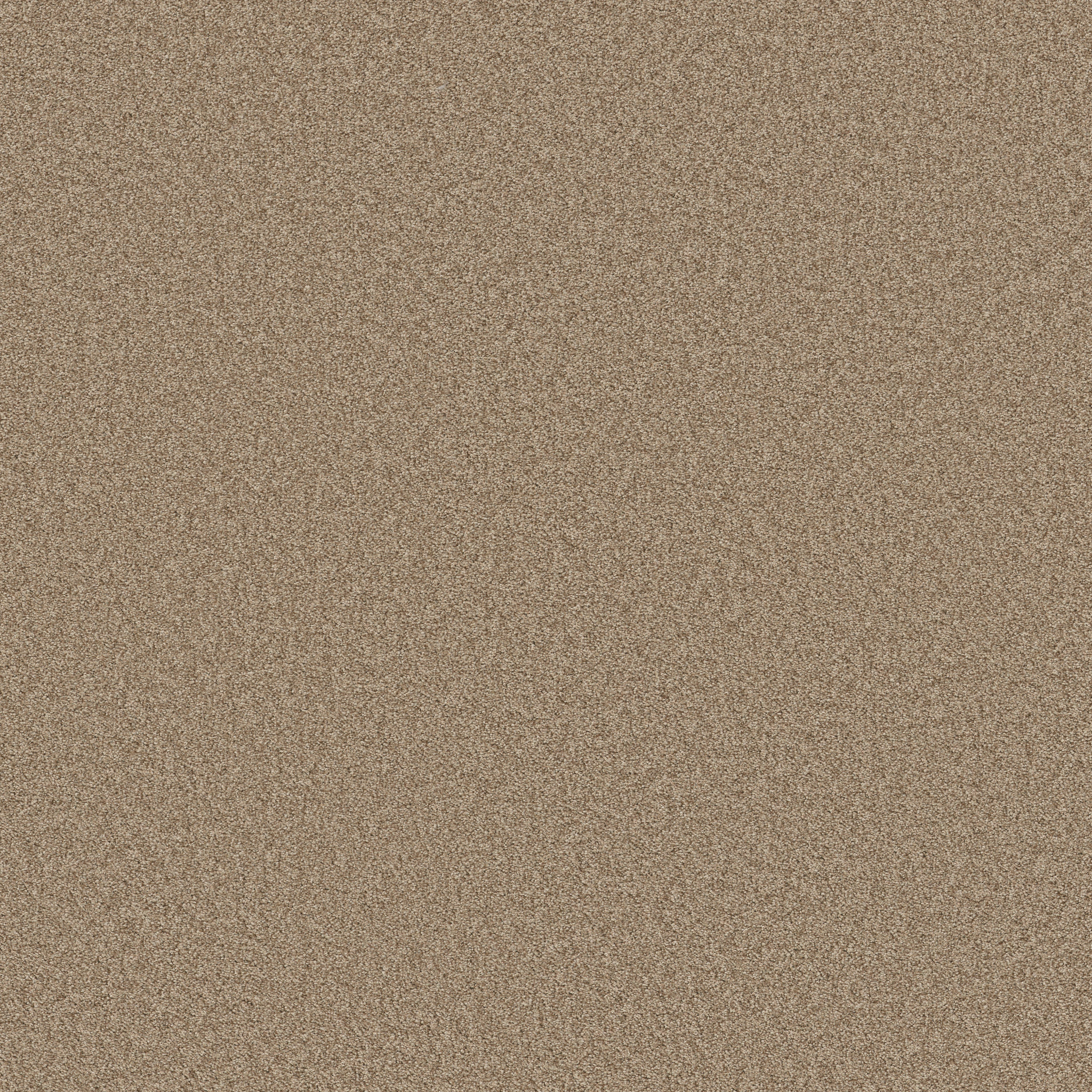 DEL RIO II DUNE MAIN