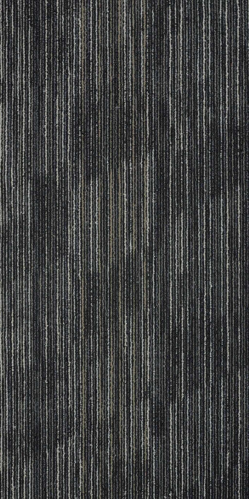 STEADY-54883-AXEL-83510-main-image