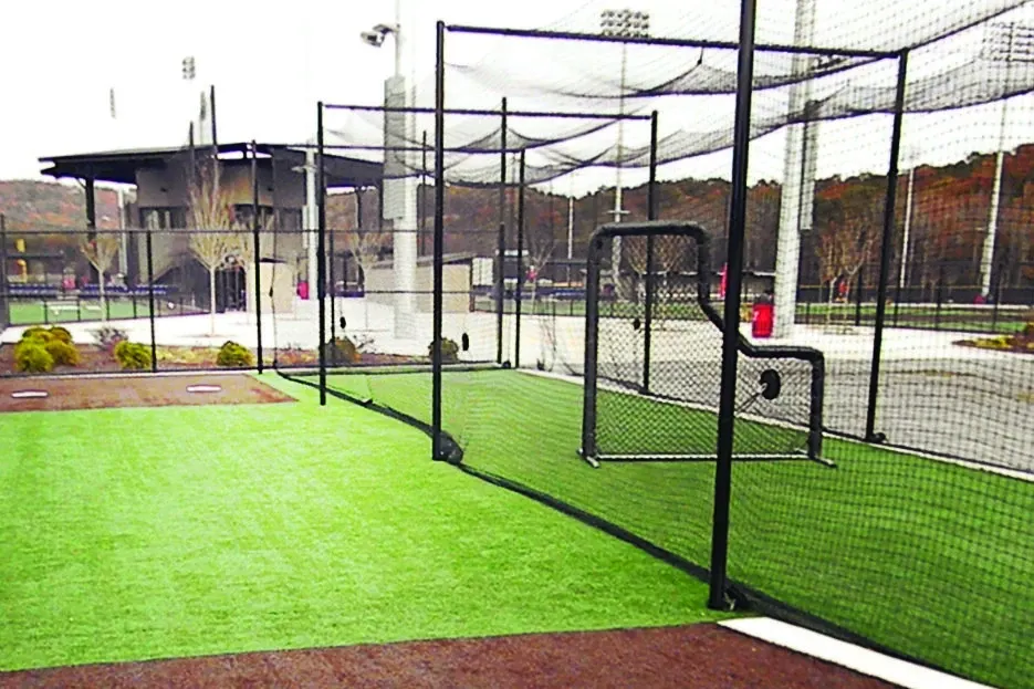 Outdoor sports facility with artificial turf and netting
